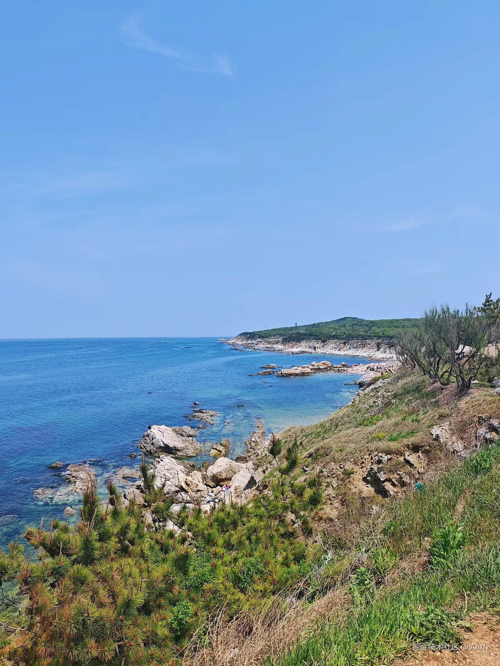 Ann于2025-05-14 08:46发布的图片