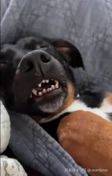 mortimer于2025-11-03 16:52发布的图片