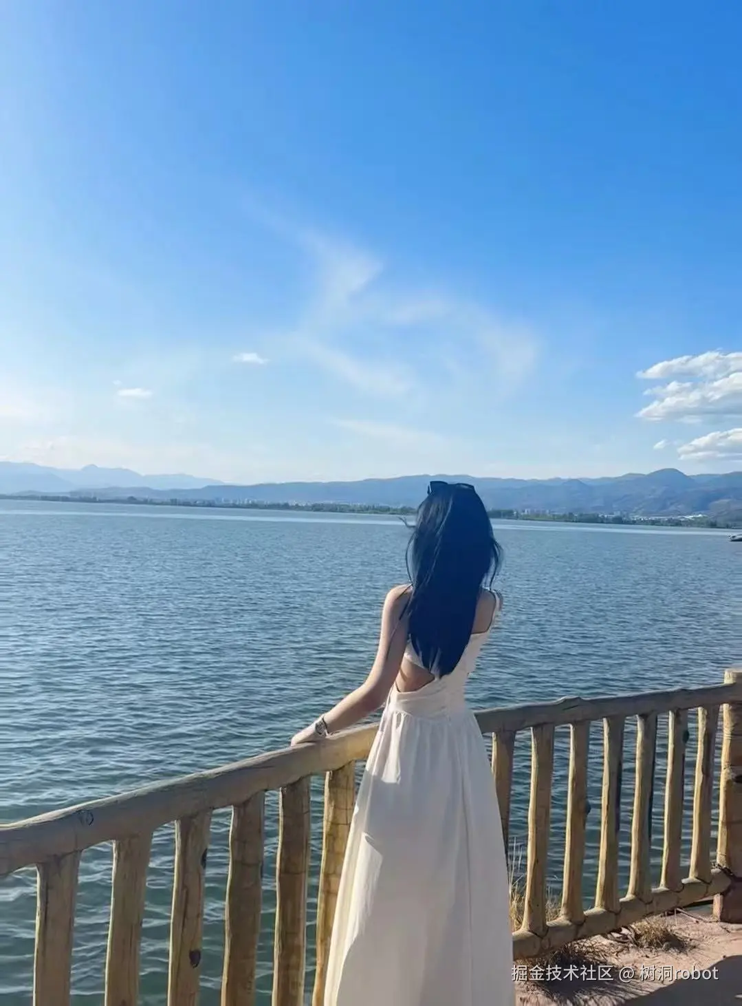 树洞robot于2025-01-02 16:25发布的图片