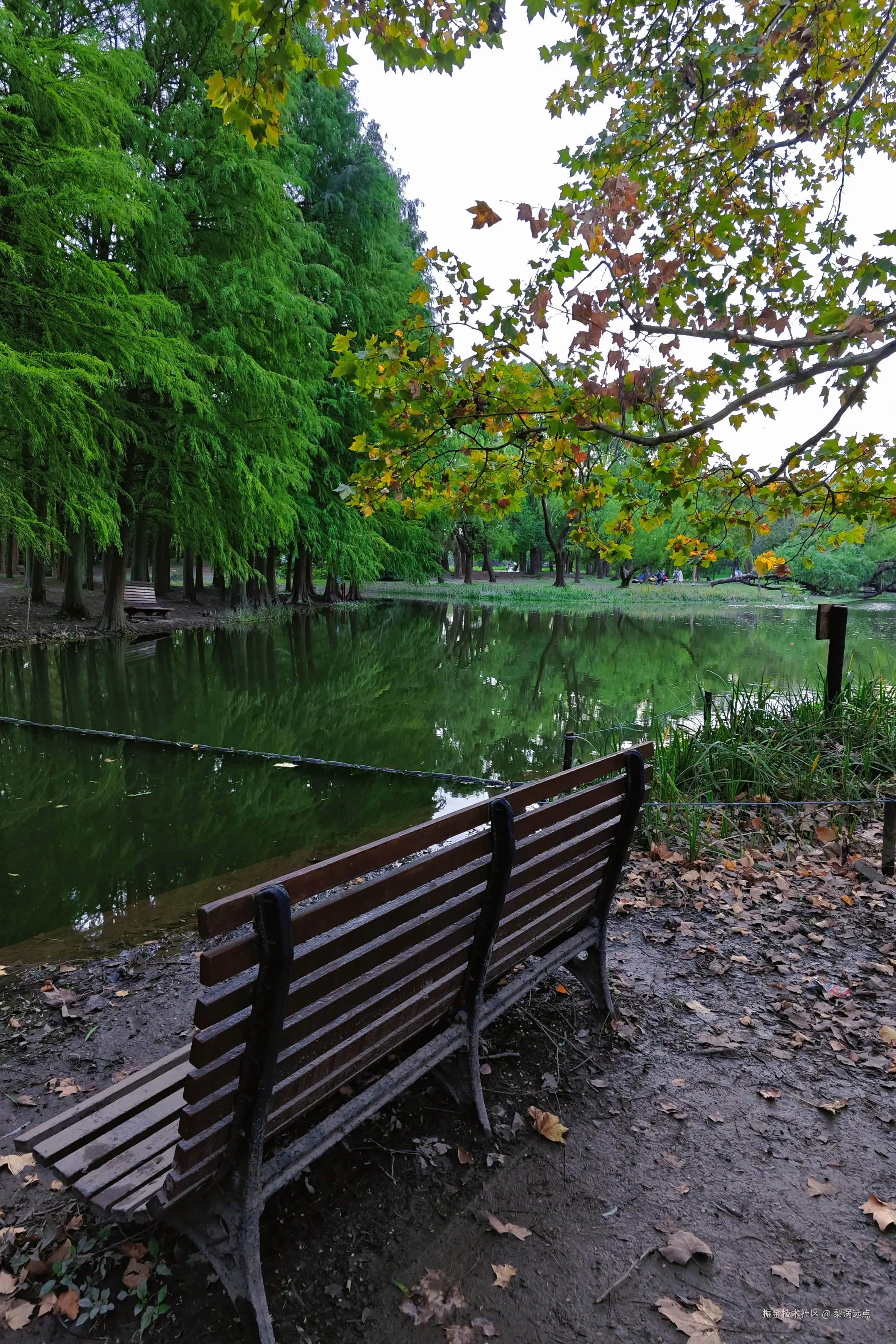 梨涡远点于2024-11-11 09:26发布的图片