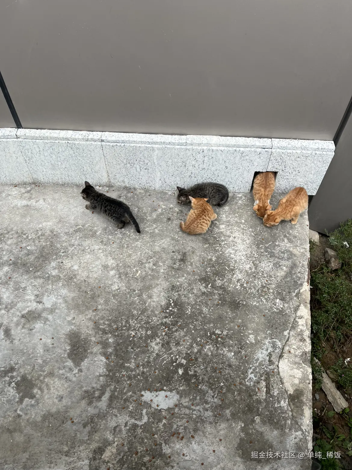 单纯_稀饭于2024-11-19 13:04发布的图片