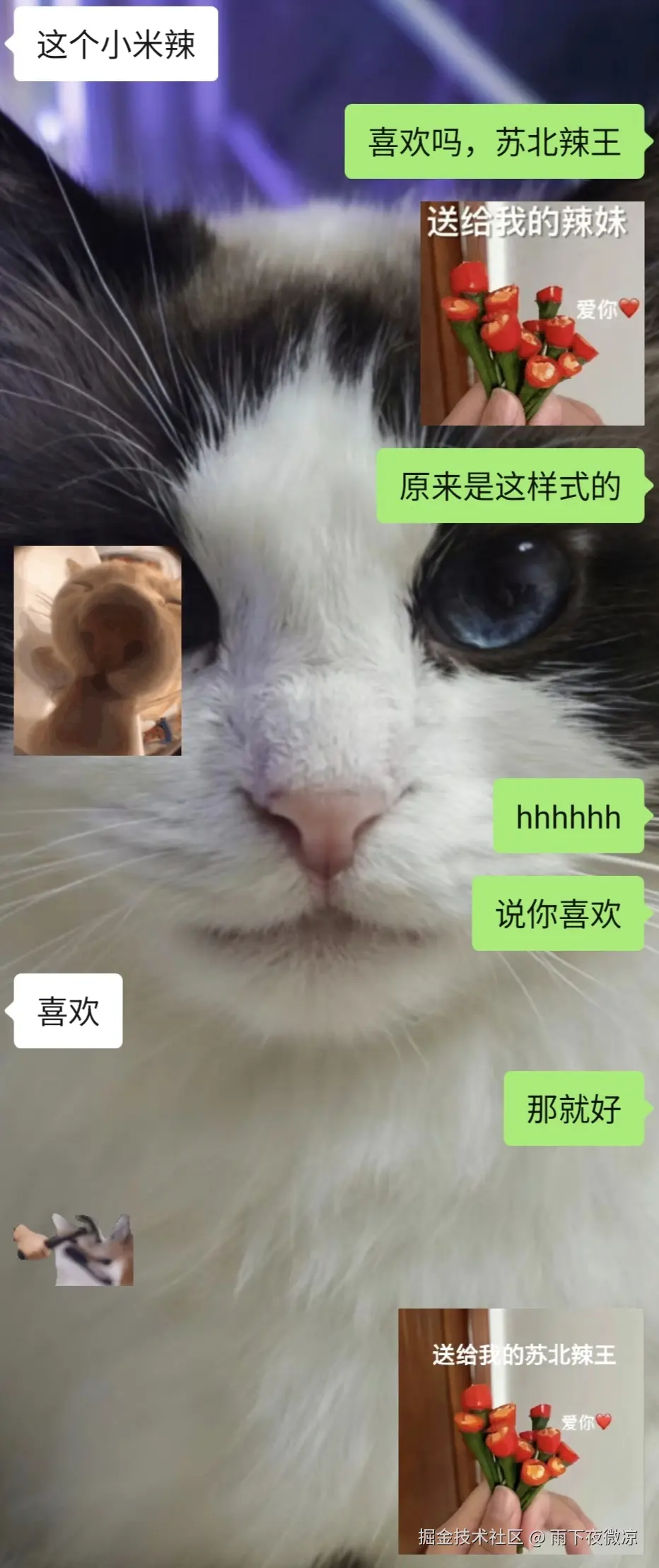 雨下夜微凉于2026-03-31 10:59发布的图片