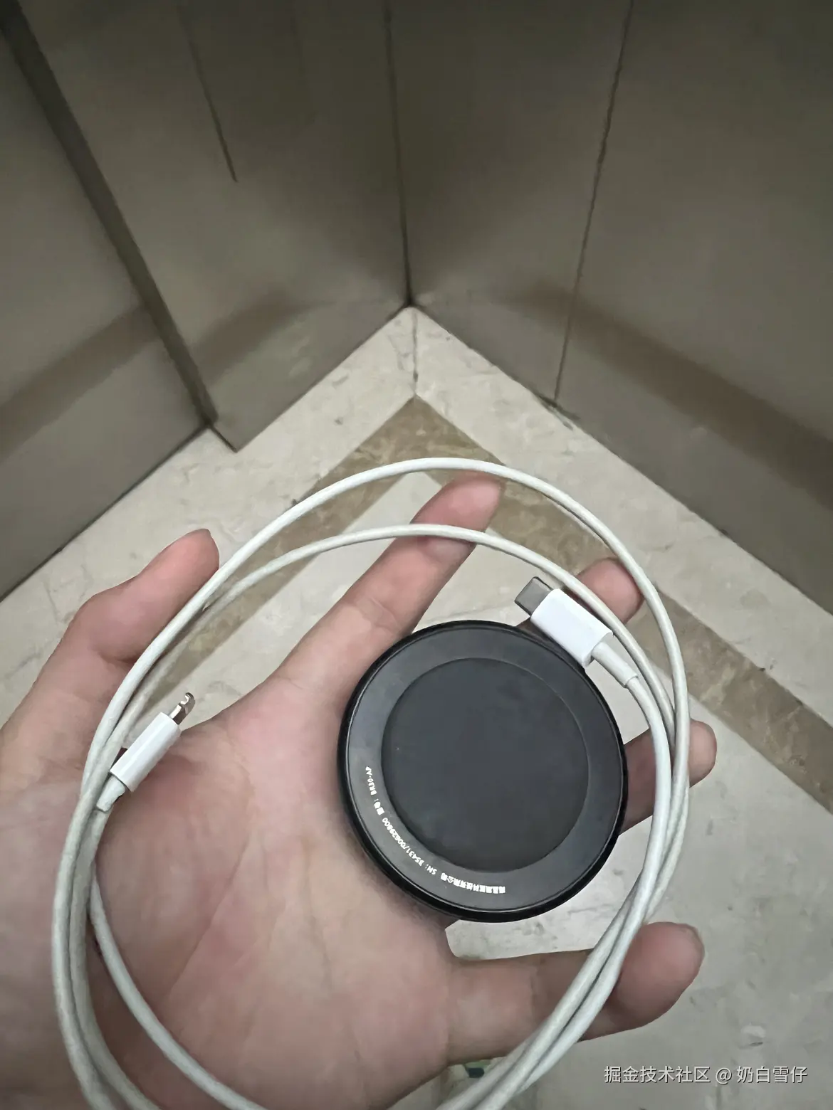 奶白雪仔于2024-07-27 09:07发布的图片