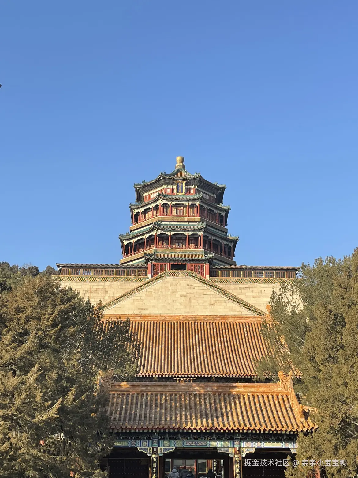 亲亲小宝宝鸭于2026-01-04 09:11发布的图片