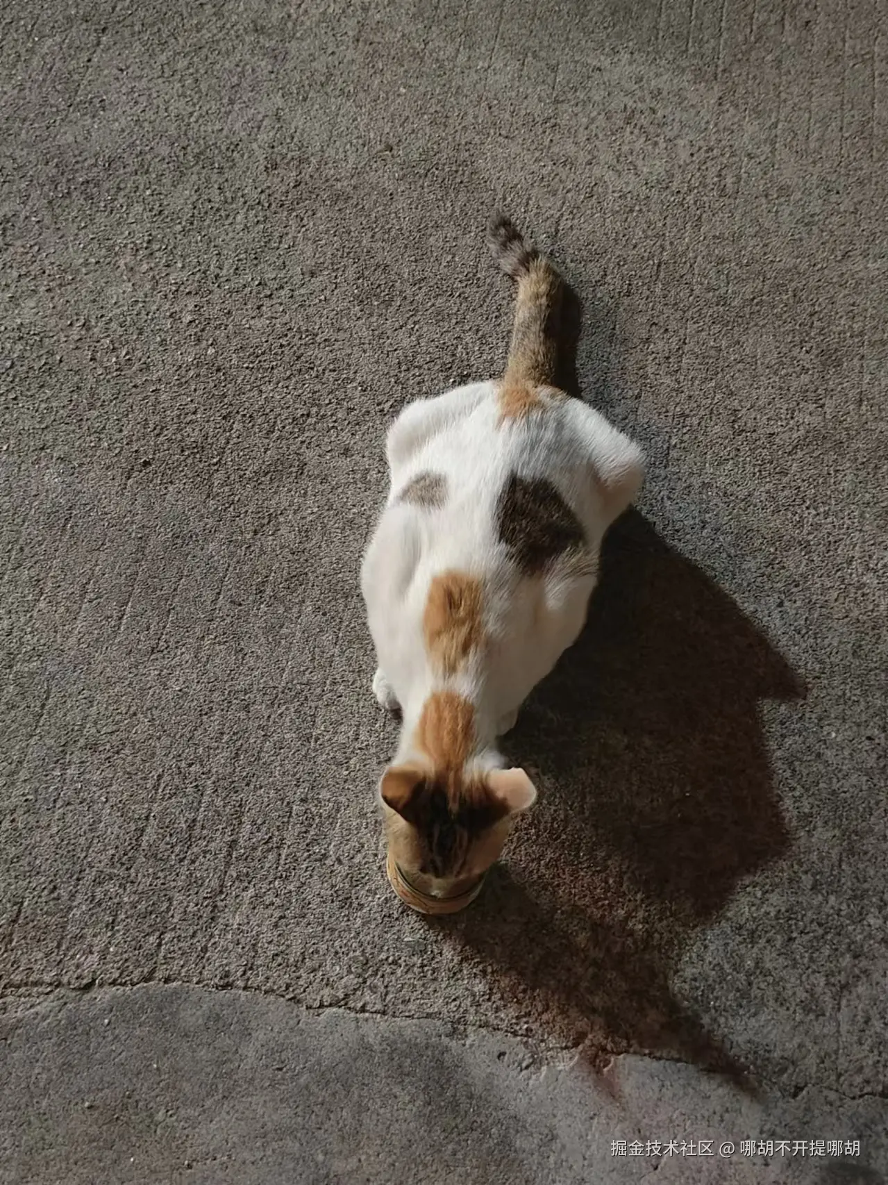 哪胡不开提哪胡于2024-10-18 08:59发布的图片