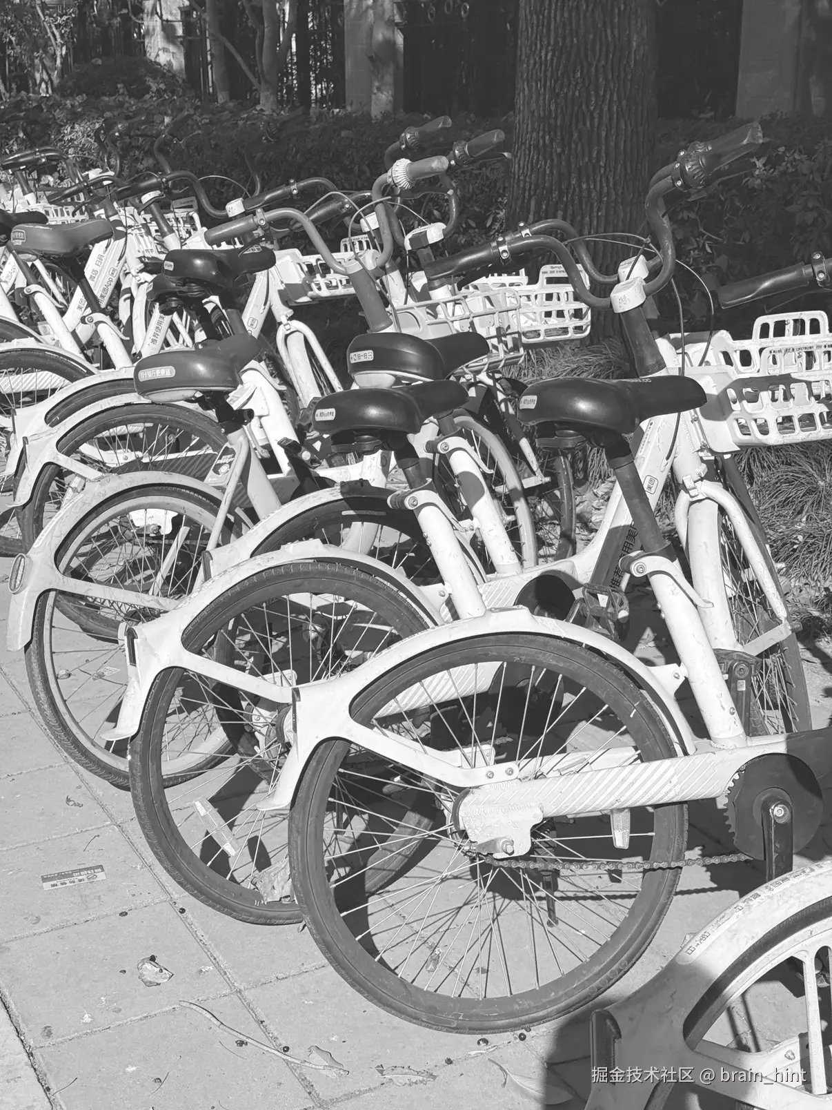 brain_hint于2025-12-09 14:31发布的图片