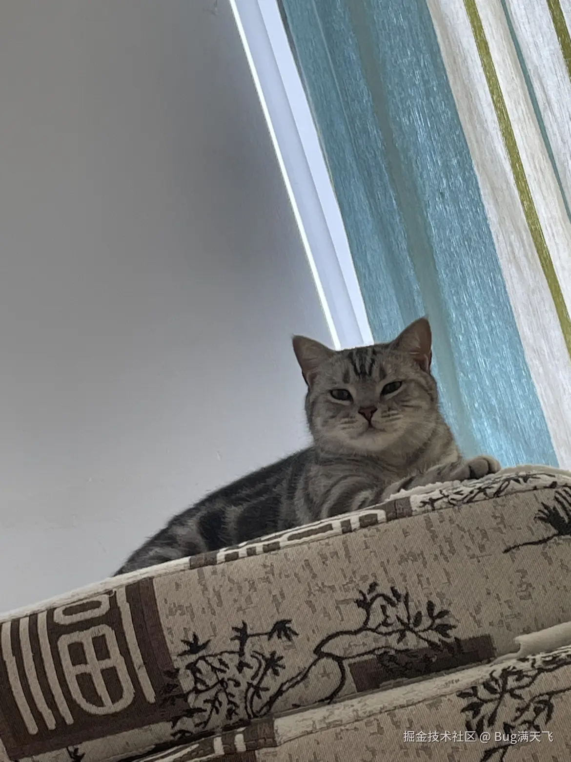 Bug满天飞于2024-10-09 16:13发布的图片