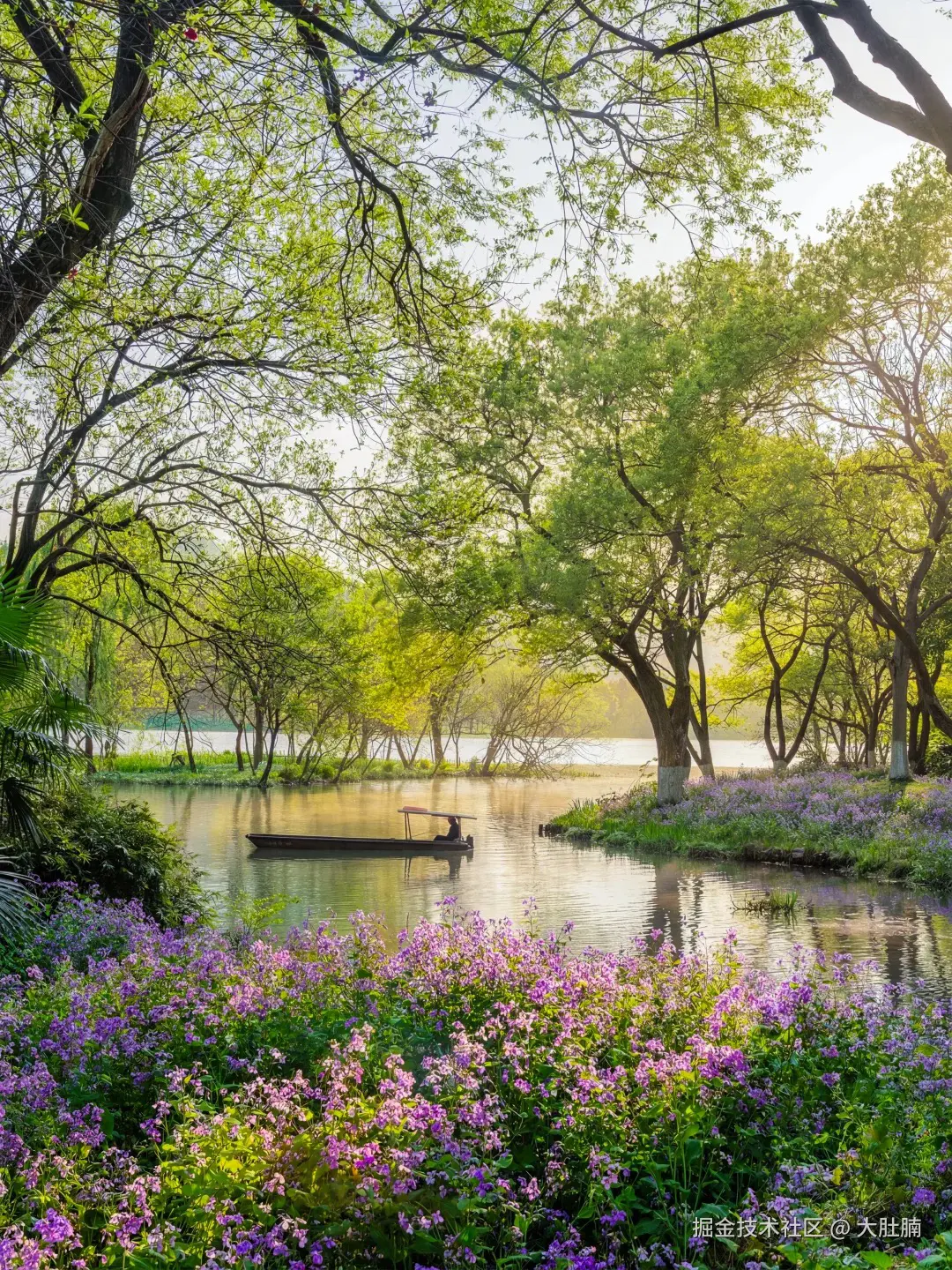 大肚腩于2026-03-09 20:38发布的图片