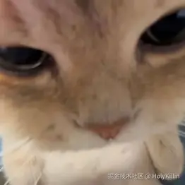 HolyKillin于2025-11-11 09:41发布的图片