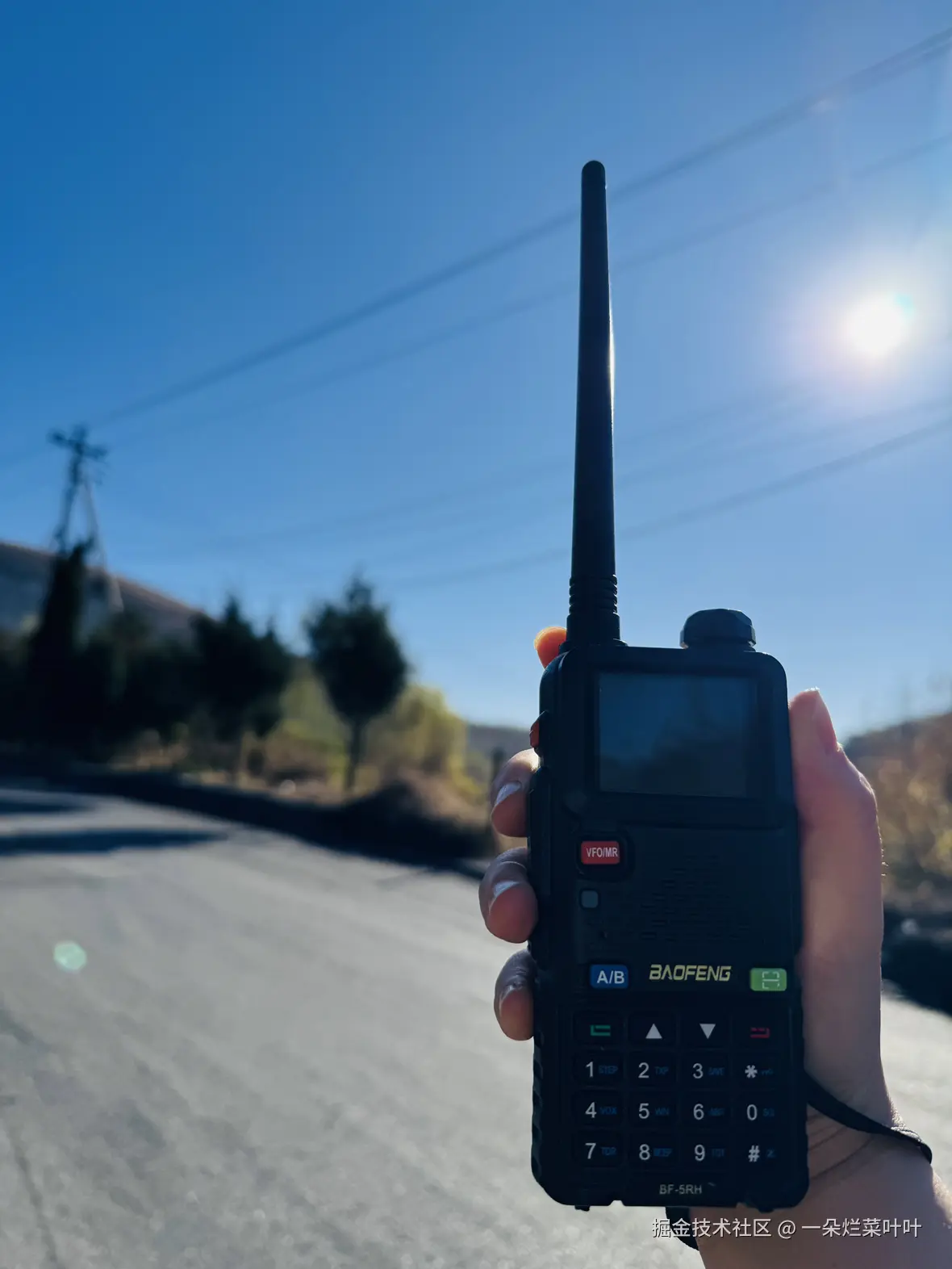 一朵烂菜叶叶于2025-11-13 02:04发布的图片