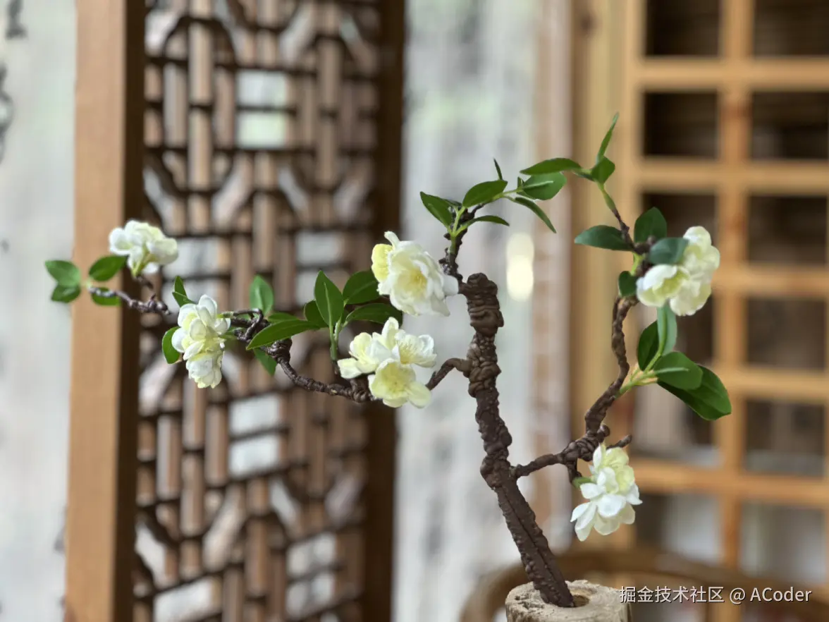 ACoder于2024-07-31 12:32发布的图片