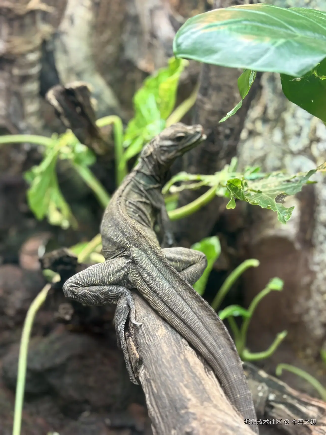 本善之初于2025-05-06 15:14发布的图片