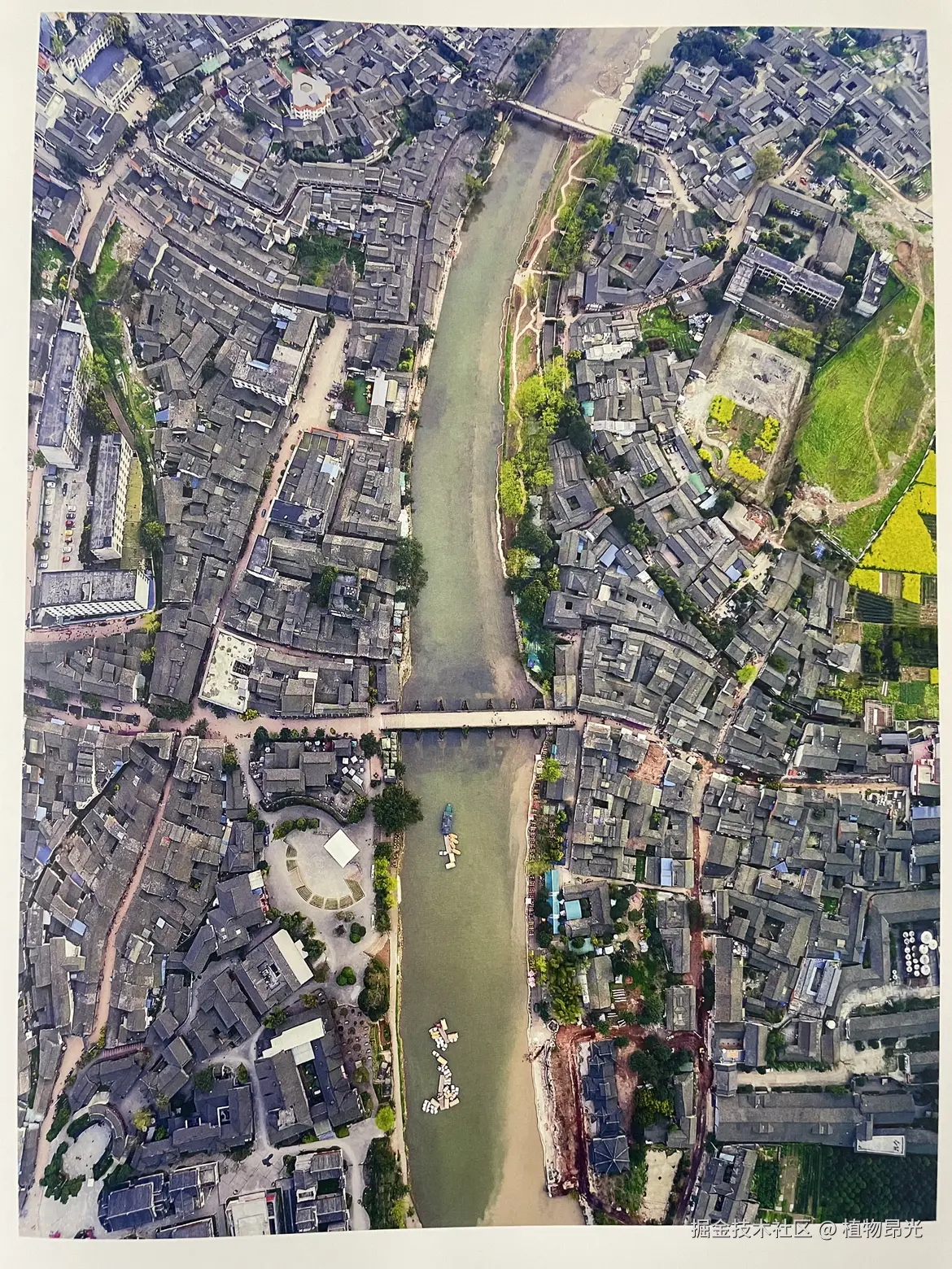 植物昂光于2026-04-05 16:42发布的图片