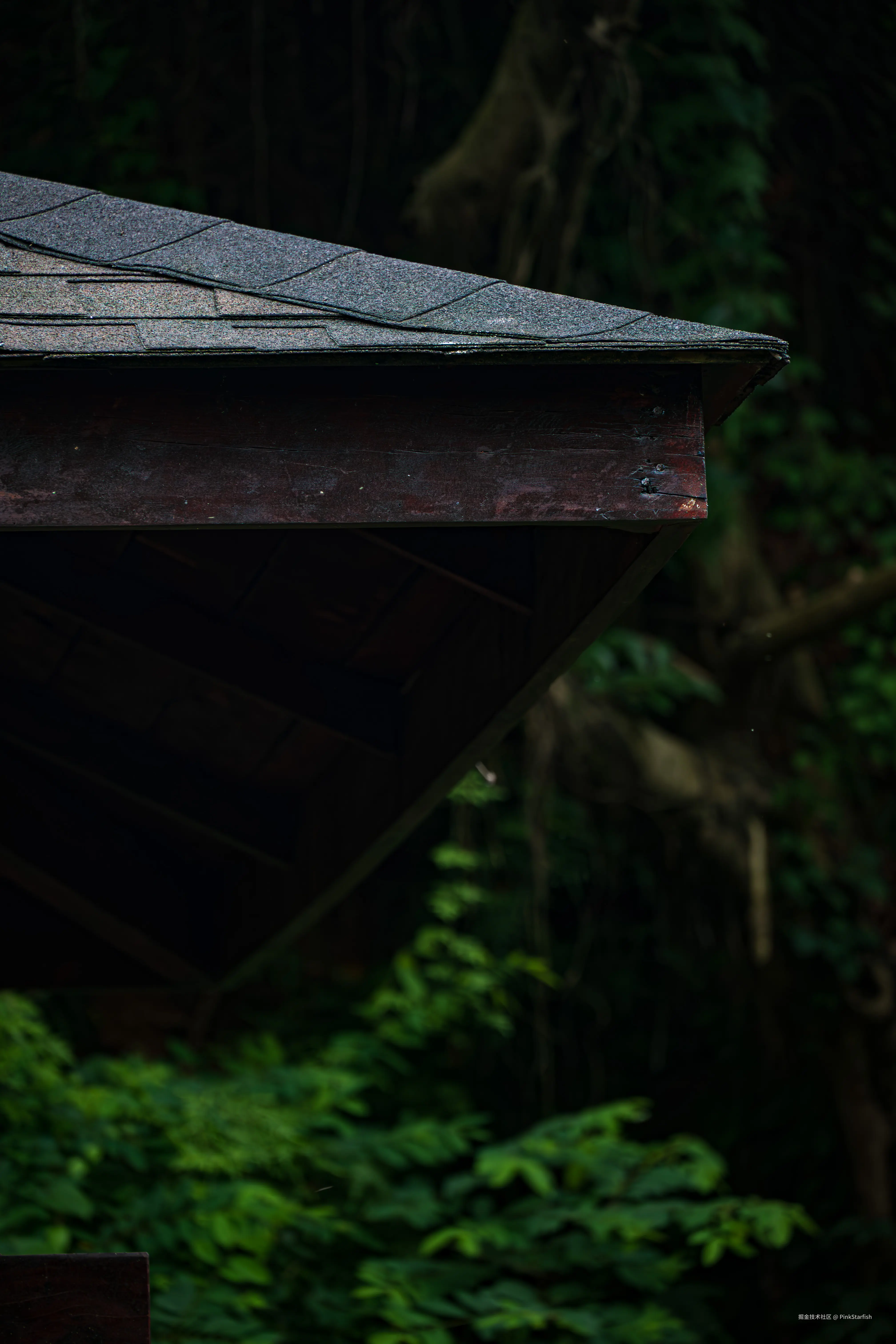 PinkStarfish于2025-07-28 15:35发布的图片