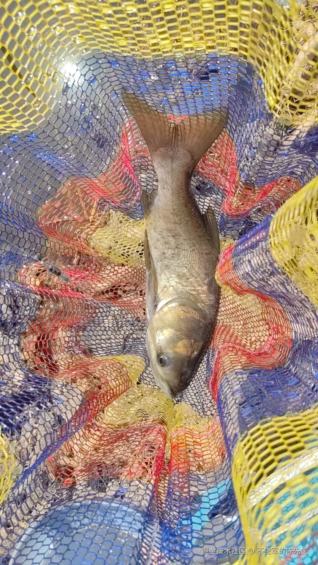 不空军的陈先生于2025-05-14 15:19发布的图片