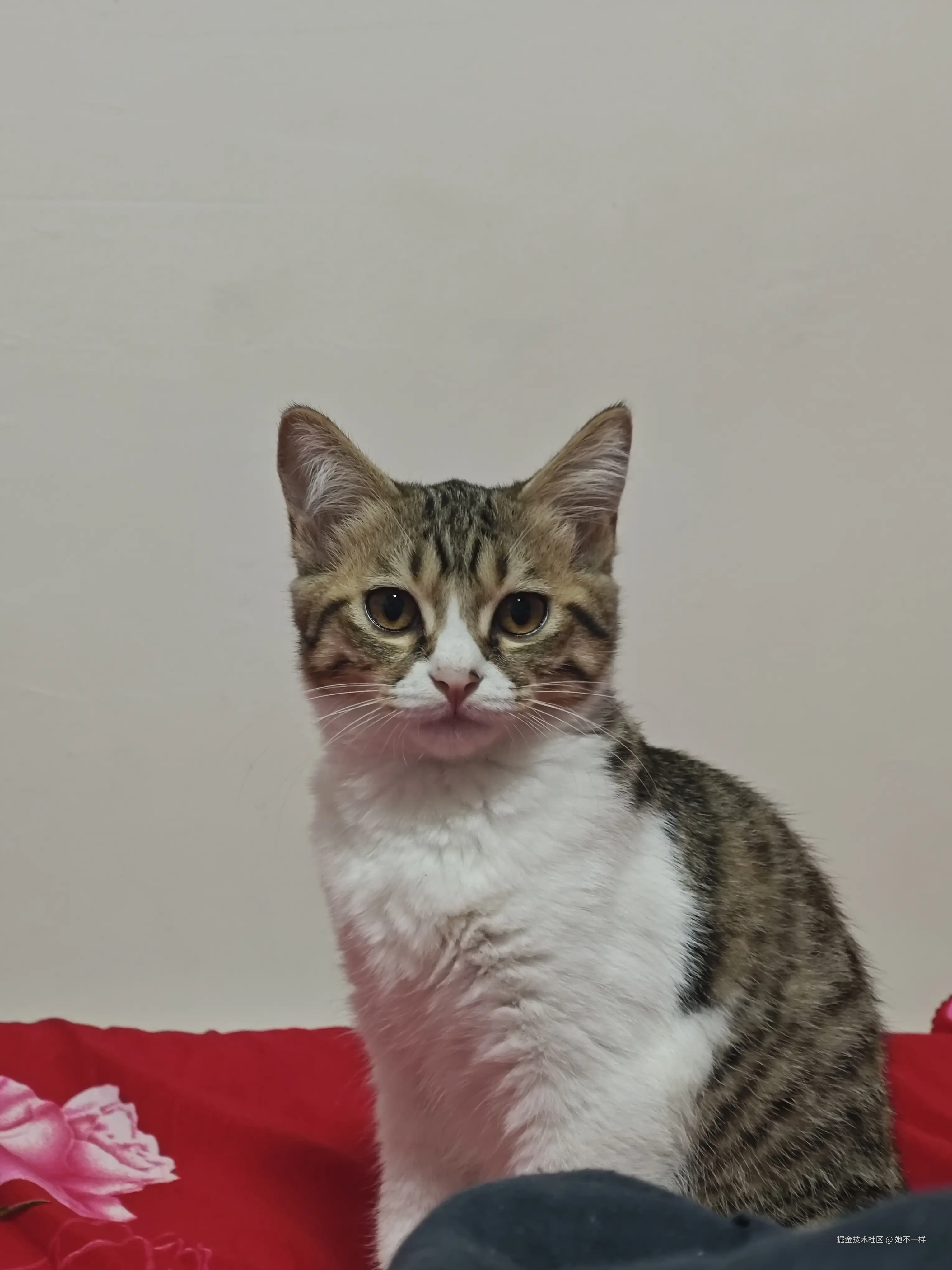 她不一样于2025-07-31 15:27发布的图片