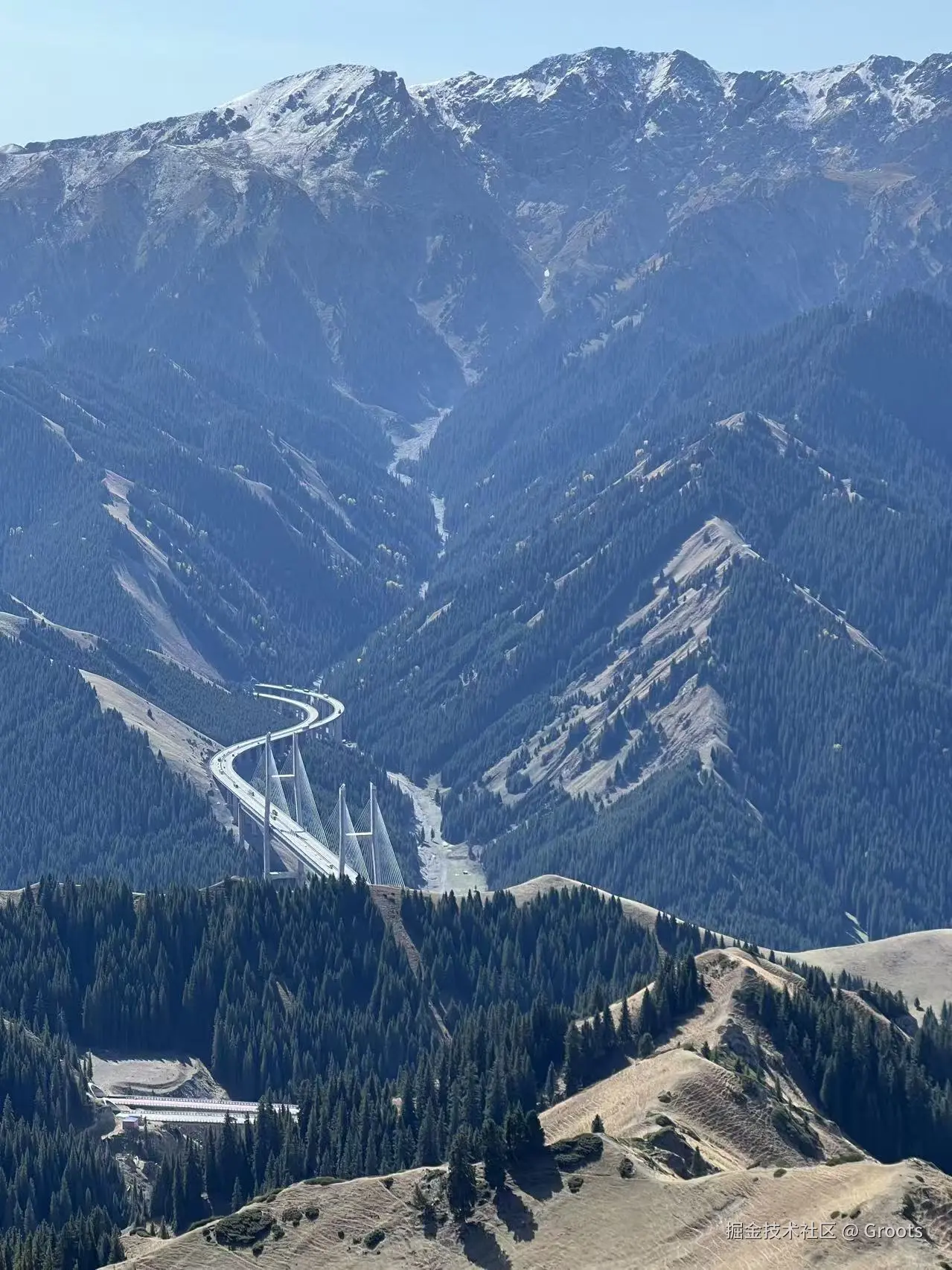 Groots于2025-09-29 01:56发布的图片