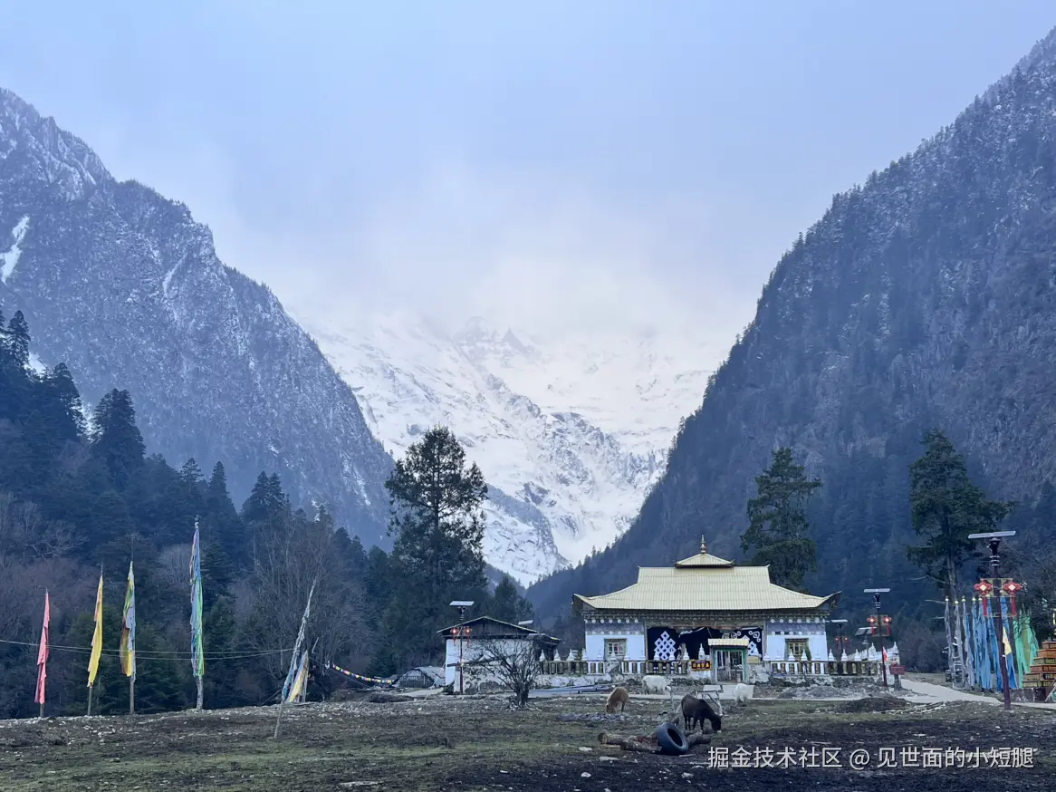 见世面的小短腿于2025-03-24 14:16发布的图片