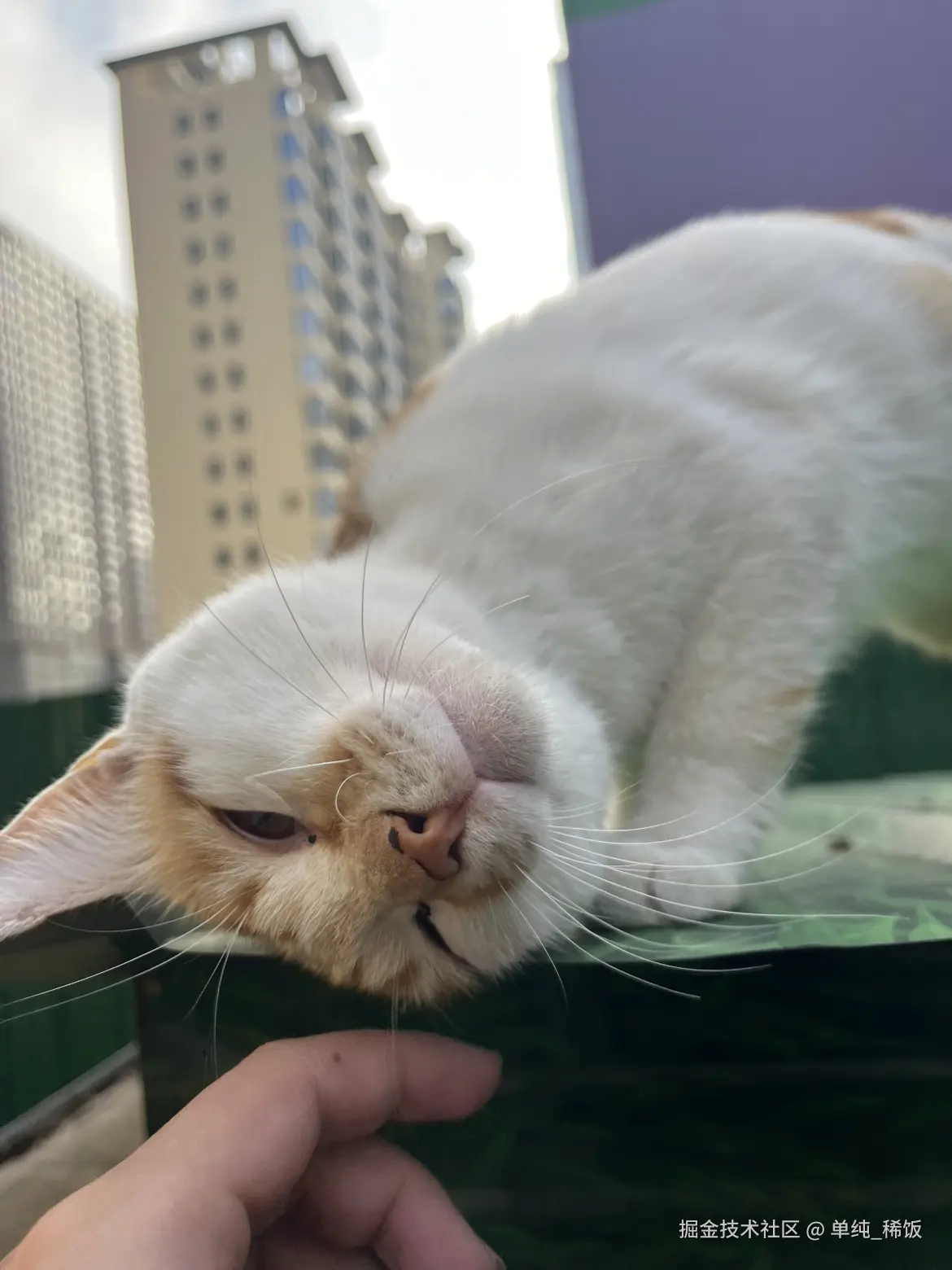 单纯_稀饭于2025-09-24 09:12发布的图片