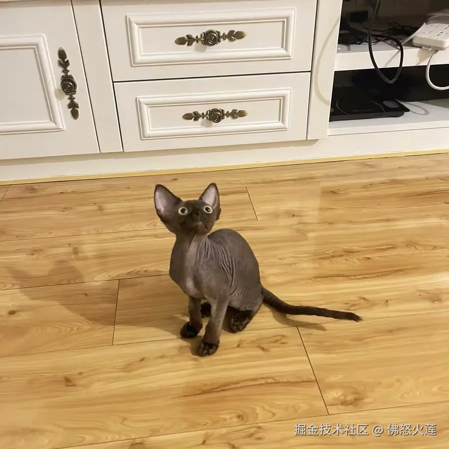 佛怒火莲于2025-10-26 23:16发布的图片