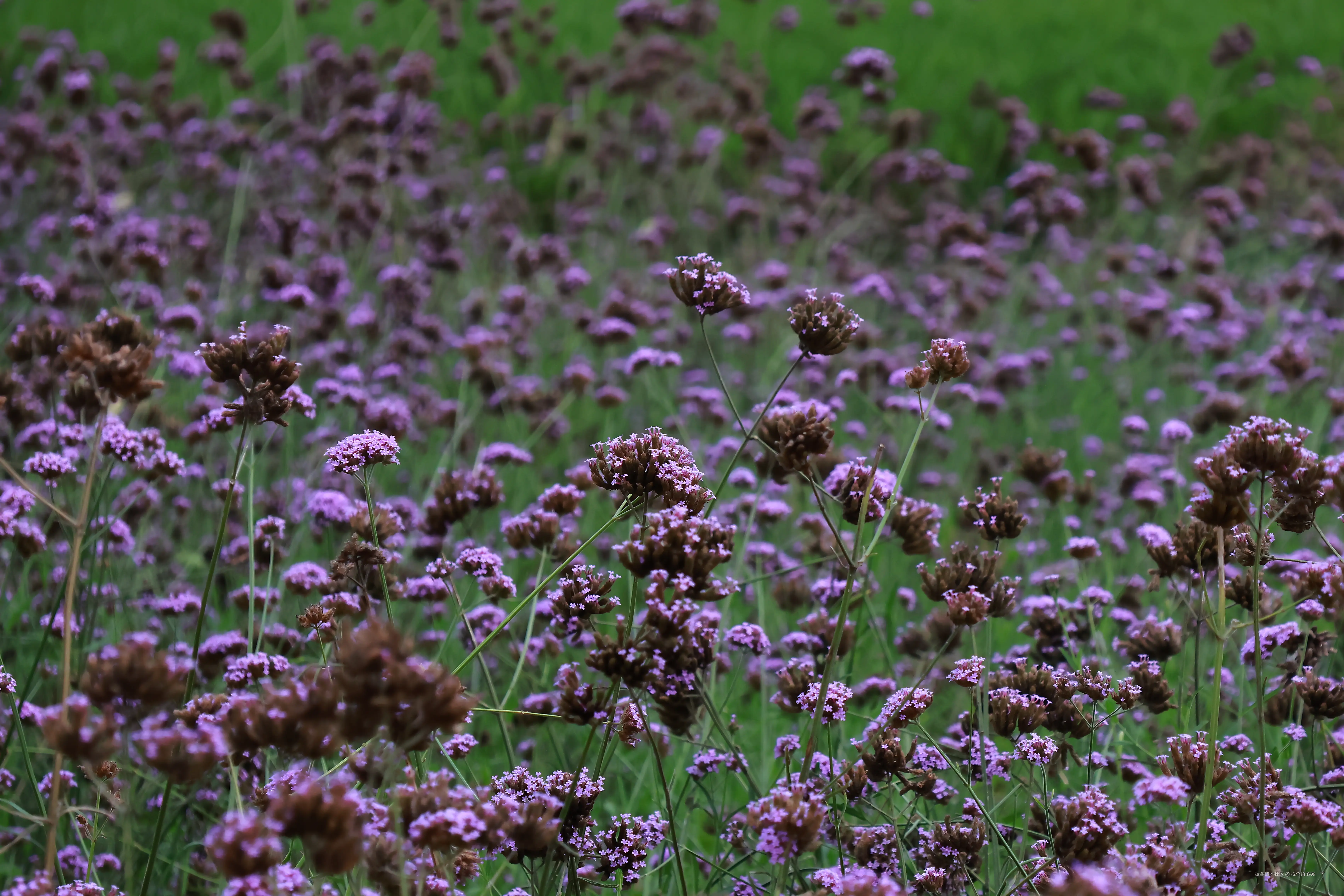 找个角落哭一下于2025-07-28 13:51发布的图片