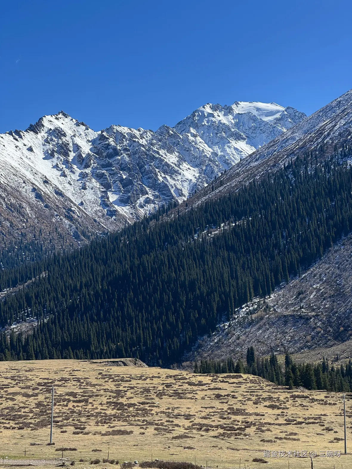 三碗呀于2025-10-27 10:45发布的图片