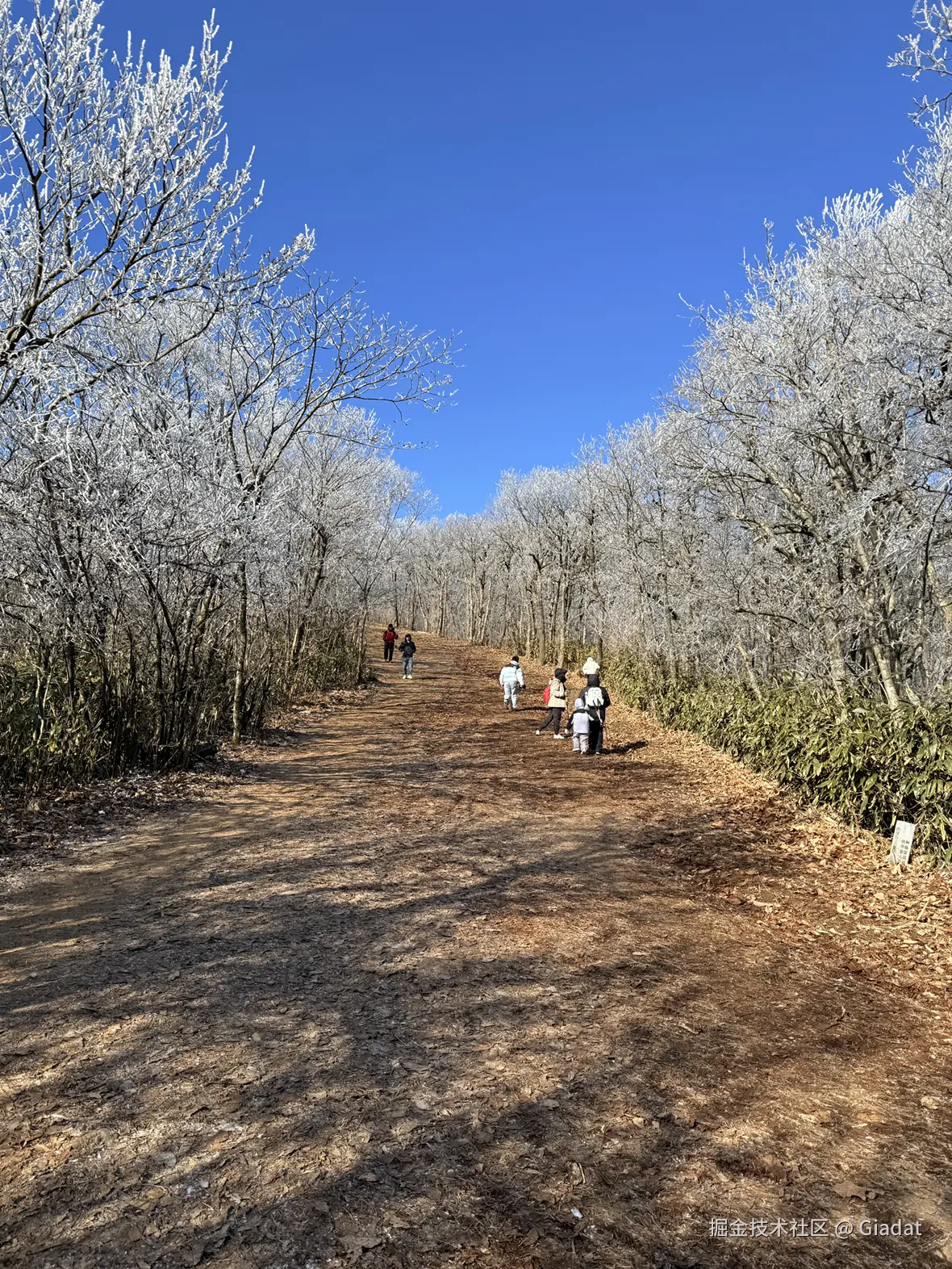 Giadat于2025-12-16 14:17发布的图片