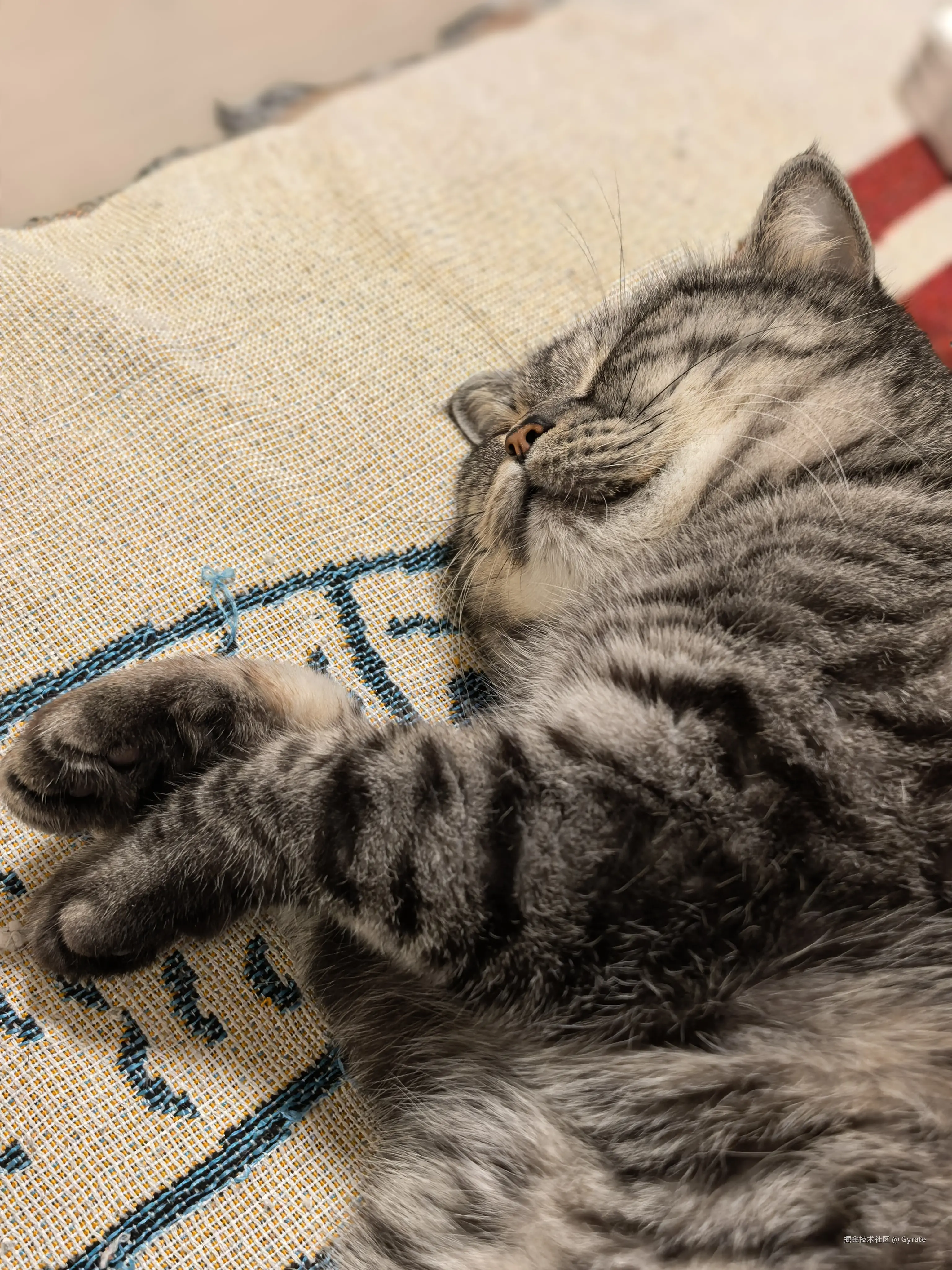 Gyrate于2026-03-11 22:23发布的图片