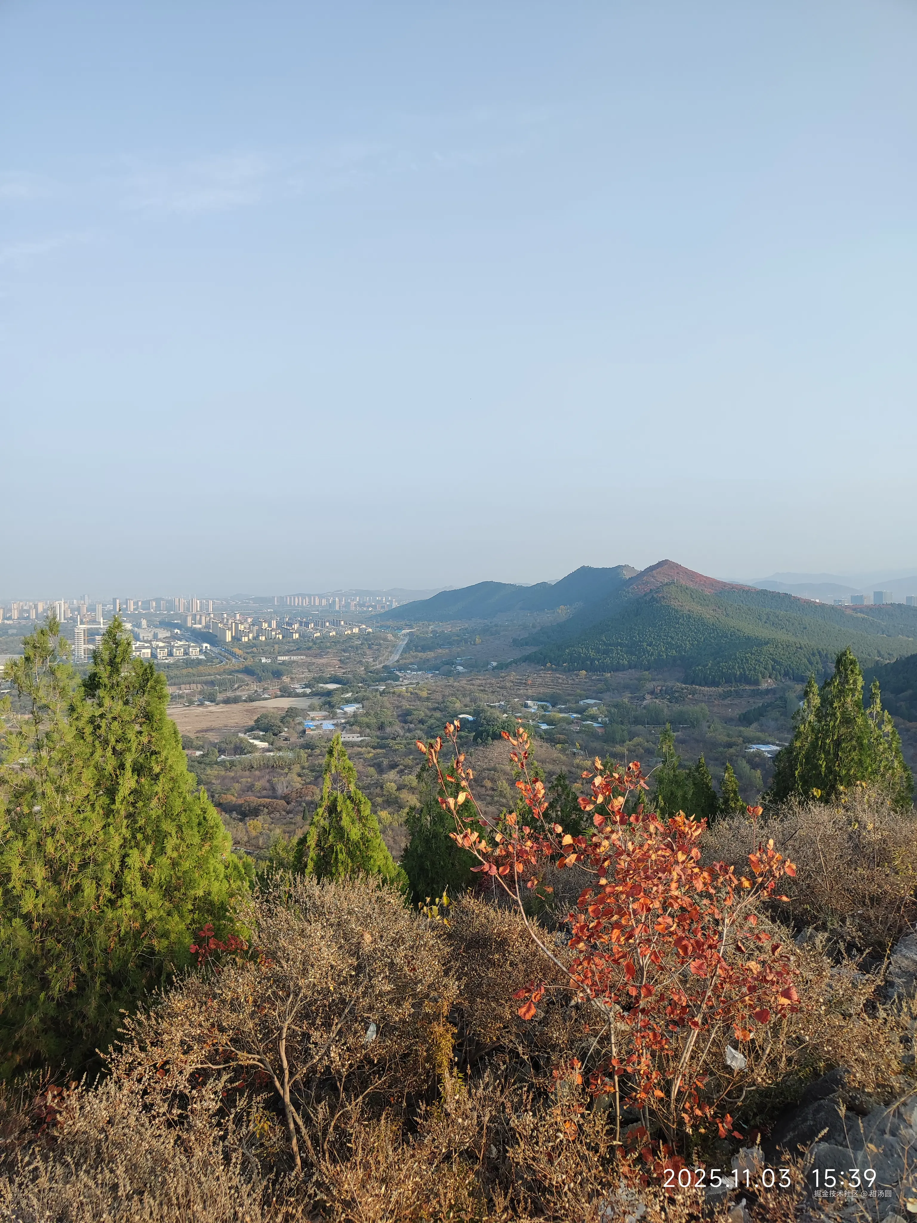 甜汤圆于2025-11-03 15:39发布的图片