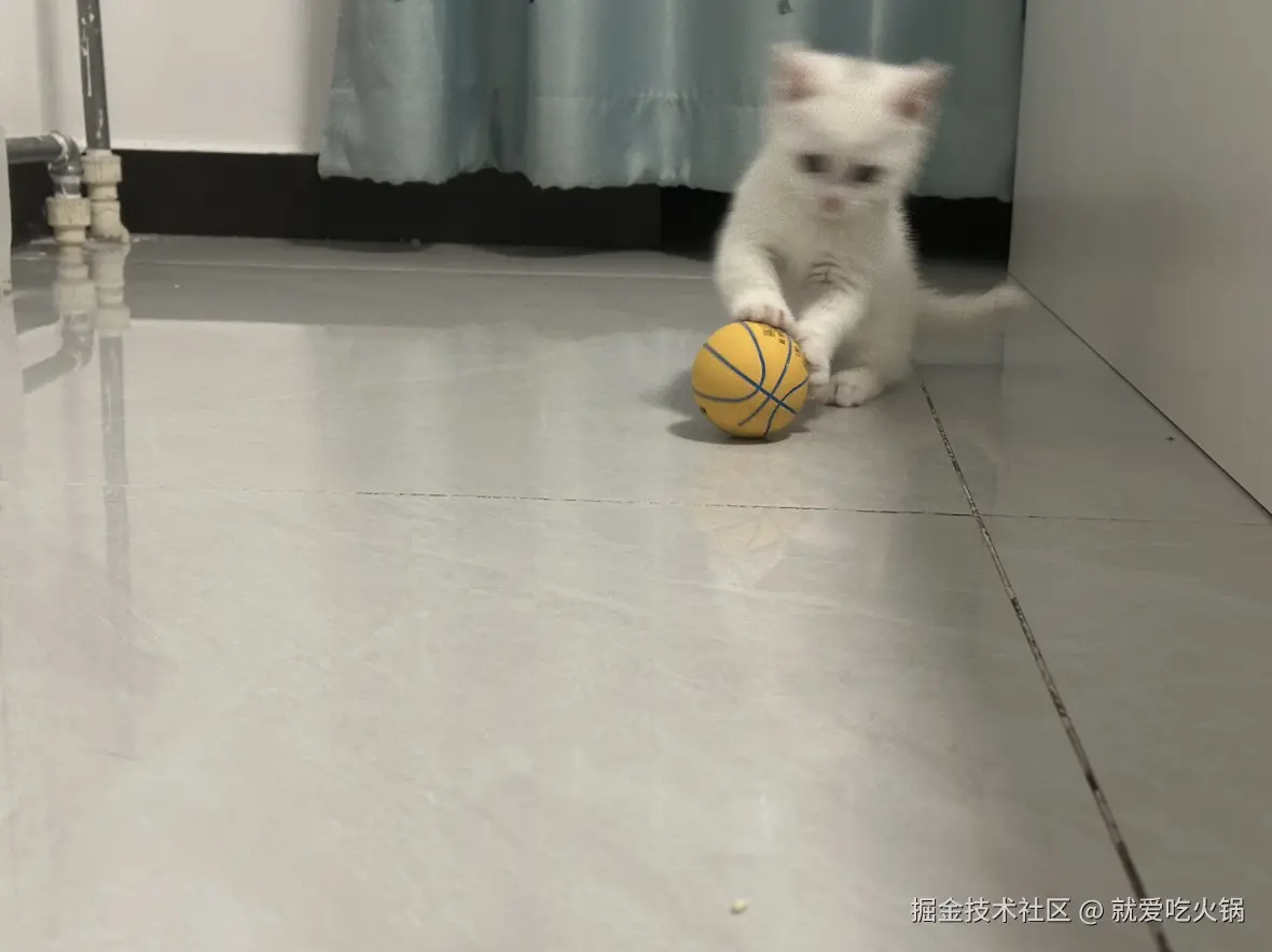 就爱吃火锅于2025-02-19 09:30发布的图片