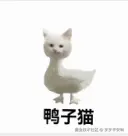 岁岁平安呐于2026-02-02 15:39发布的图片