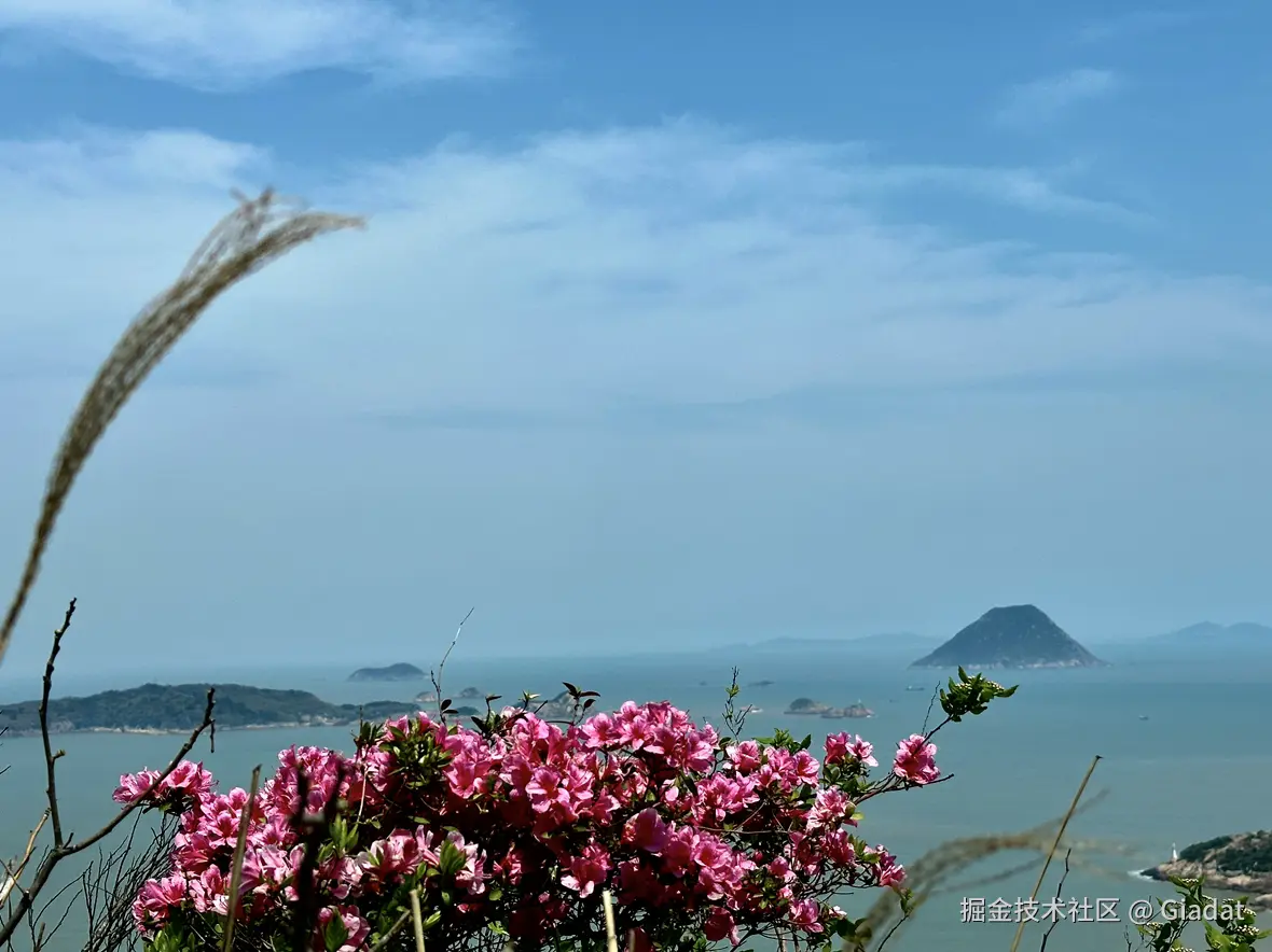 Giadat于2025-04-07 03:54发布的图片