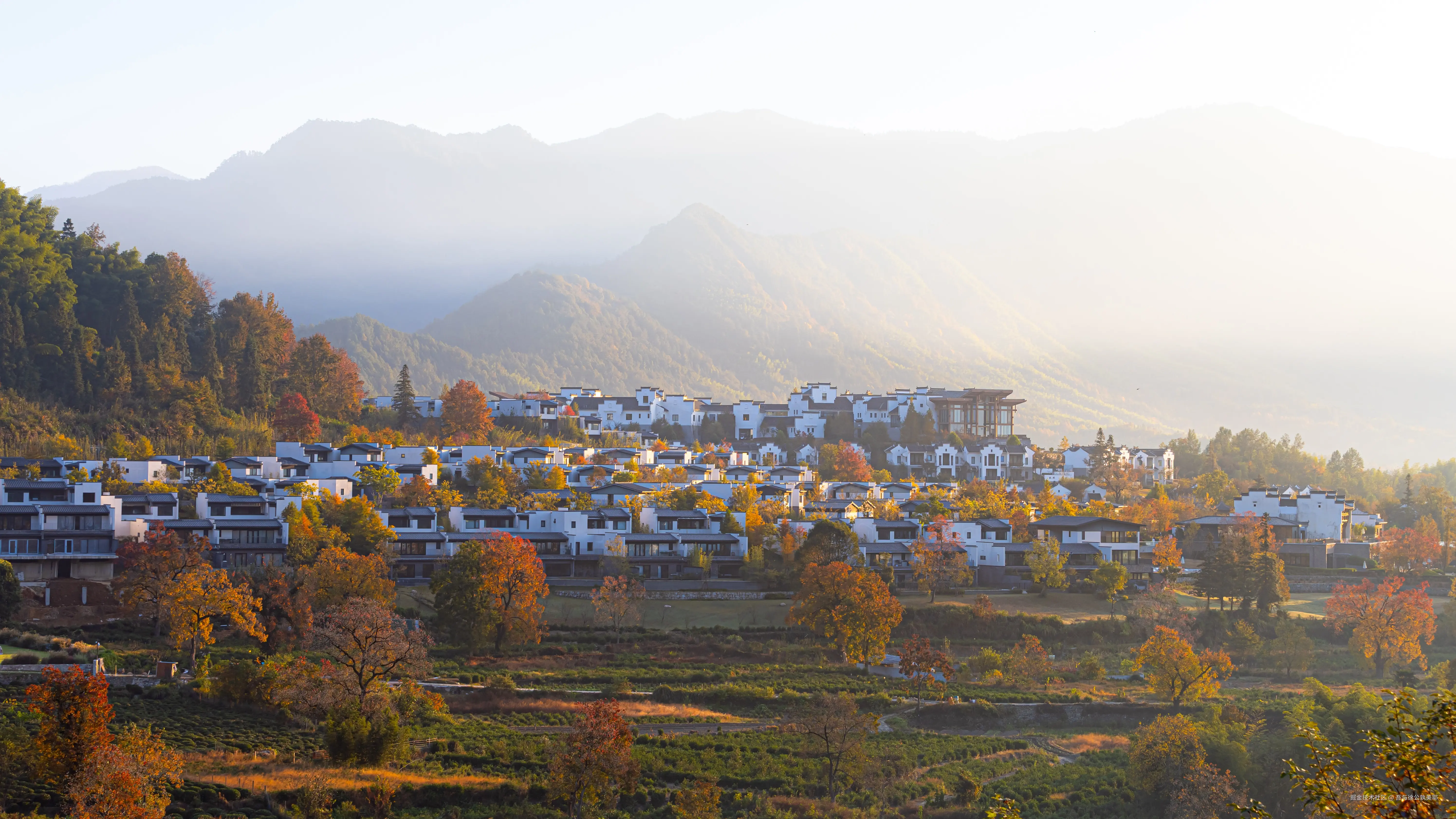 吾与徐公孰美耶于2025-11-18 05:46发布的图片