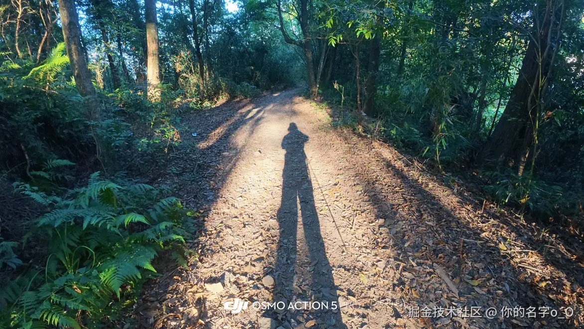 你的名字o_O于2025-10-20 15:06发布的图片