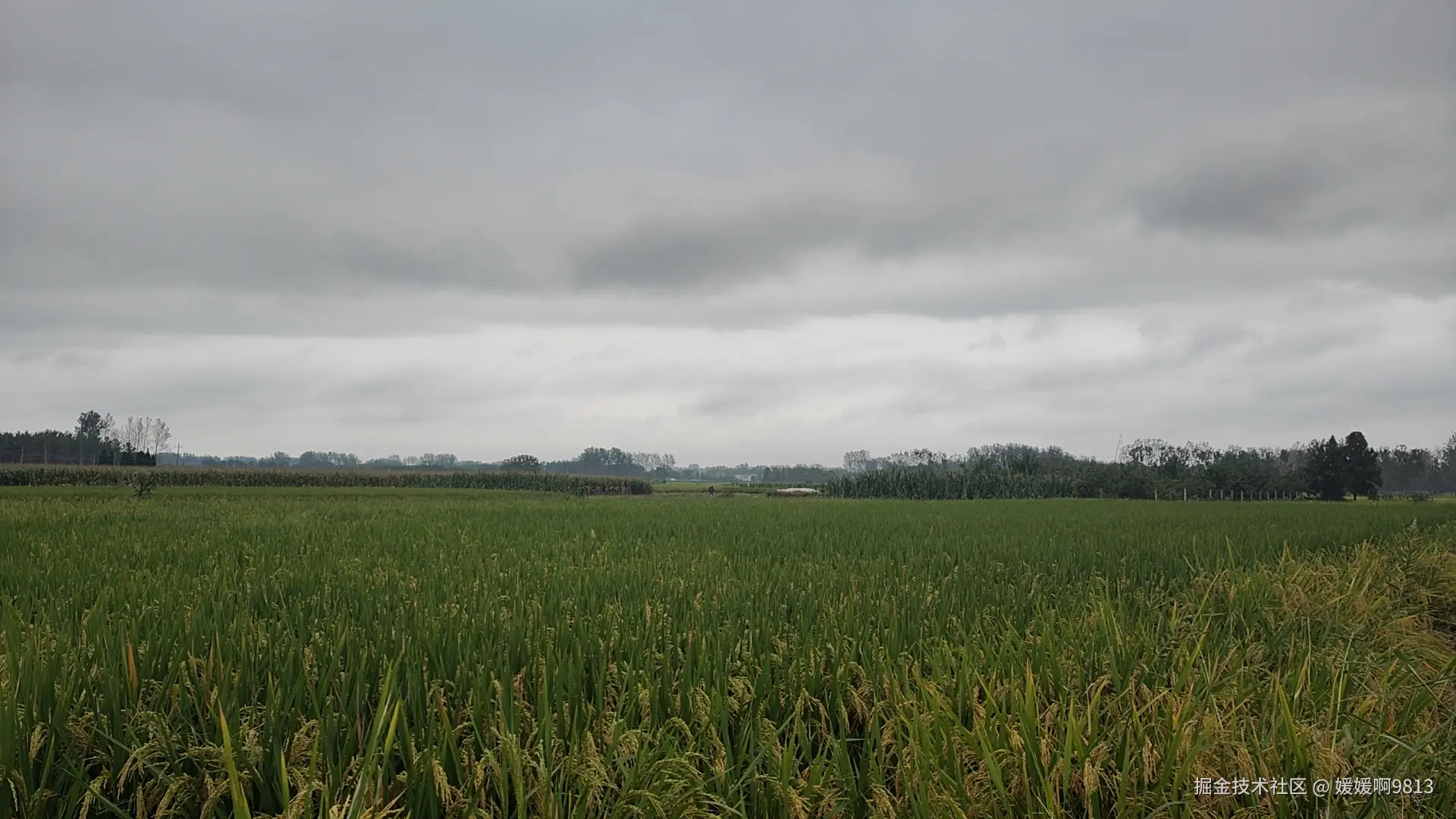 媛媛啊9813于2025-10-02 17:28发布的图片