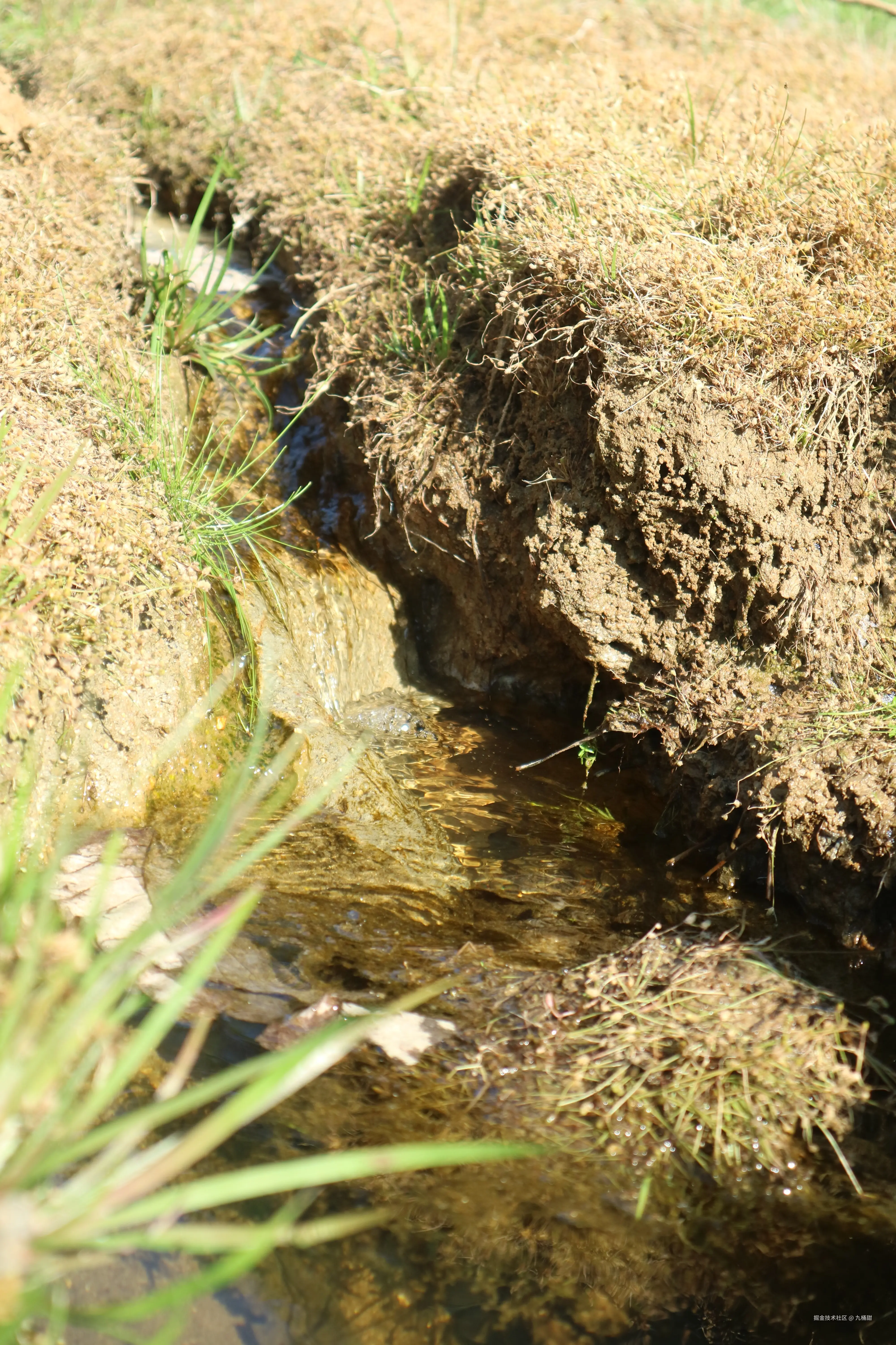 九桶甜于2025-11-17 11:37发布的图片