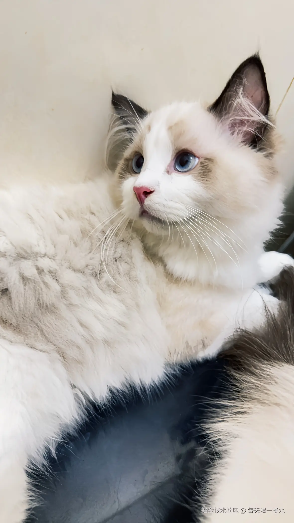 每天喝一桶水于2024-09-02 19:00发布的图片