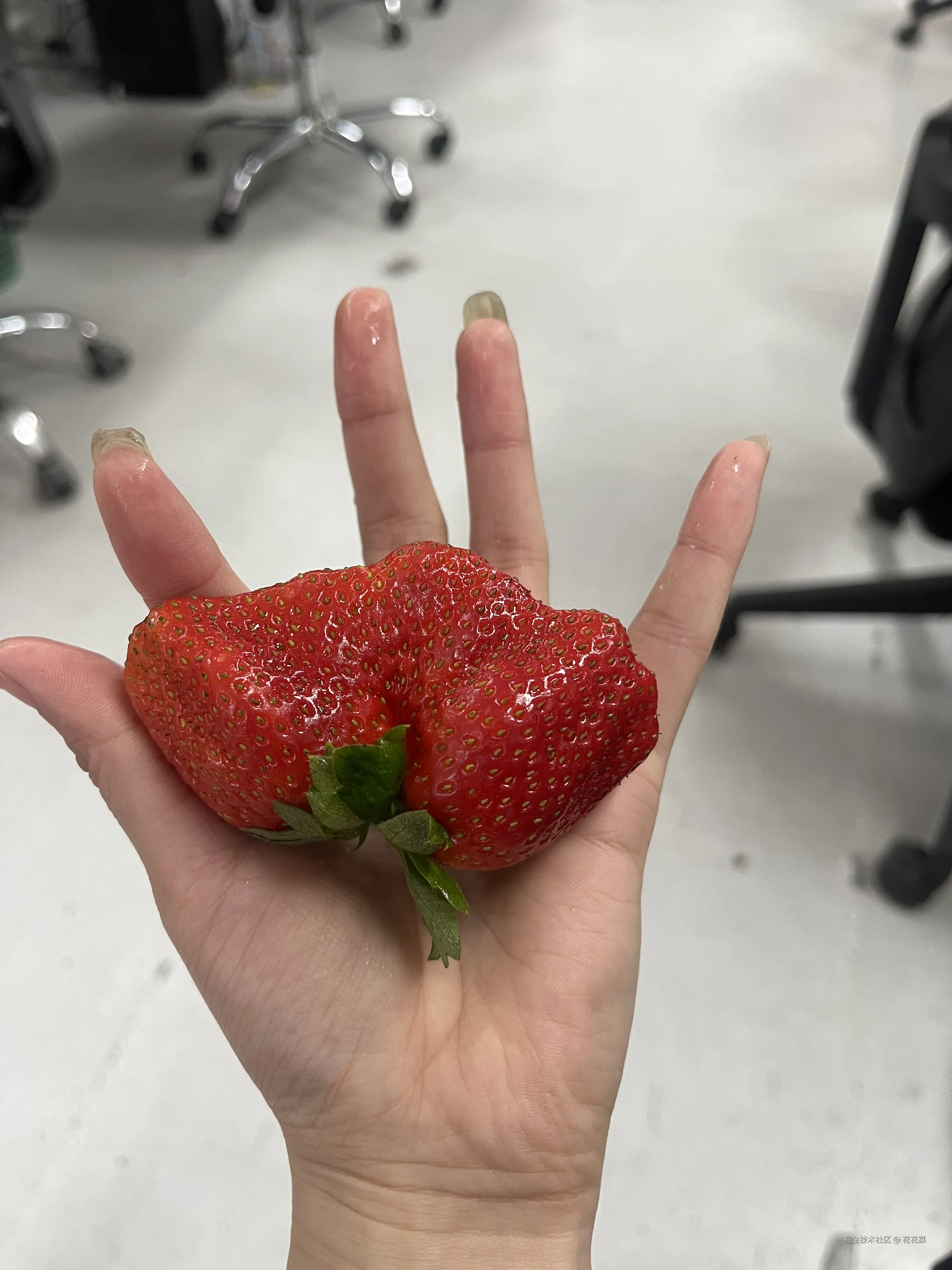 花花菜于2026-01-14 14:11发布的图片