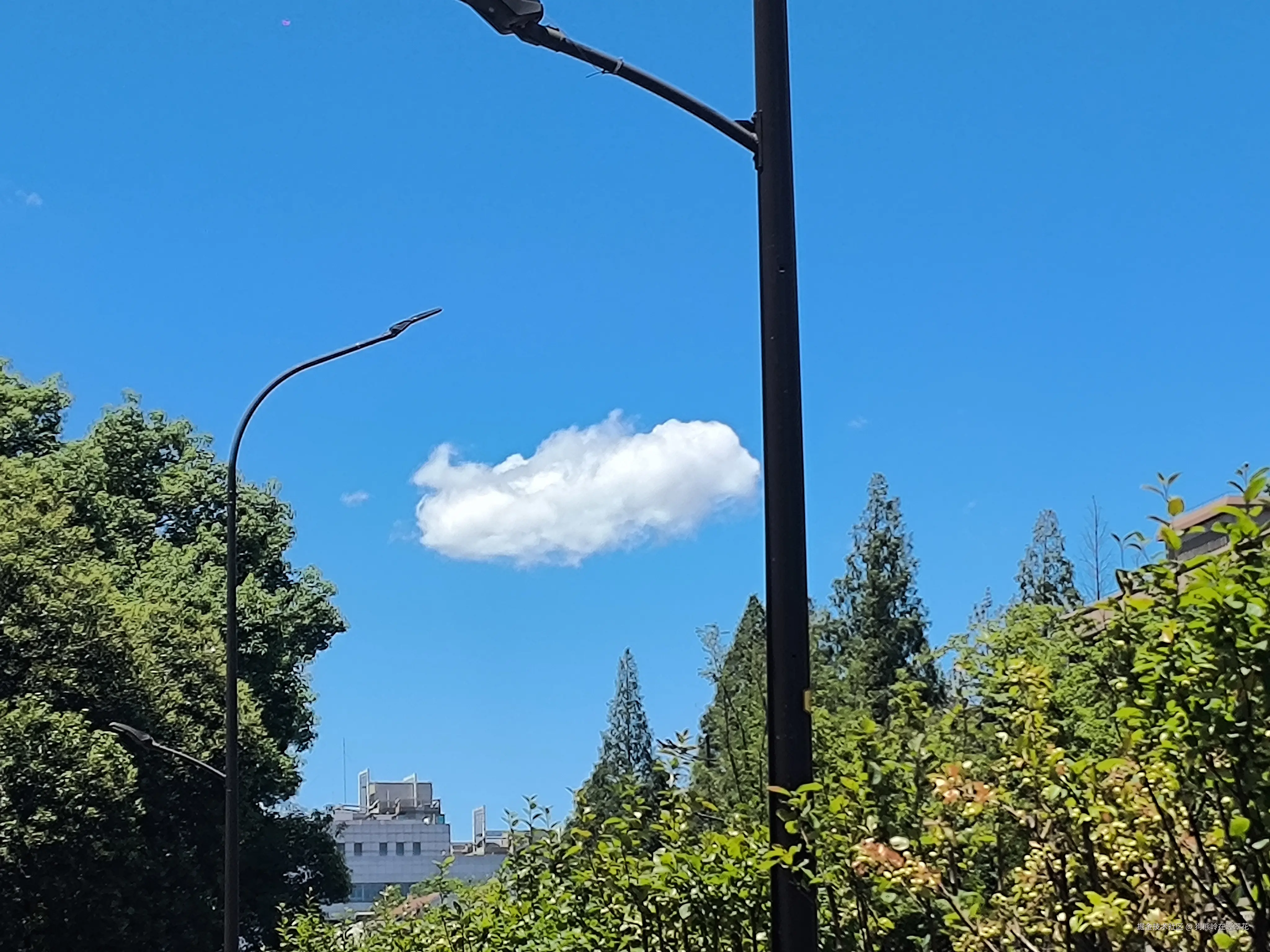 狗熊岭在逃翠花于2024-08-08 15:56发布的图片