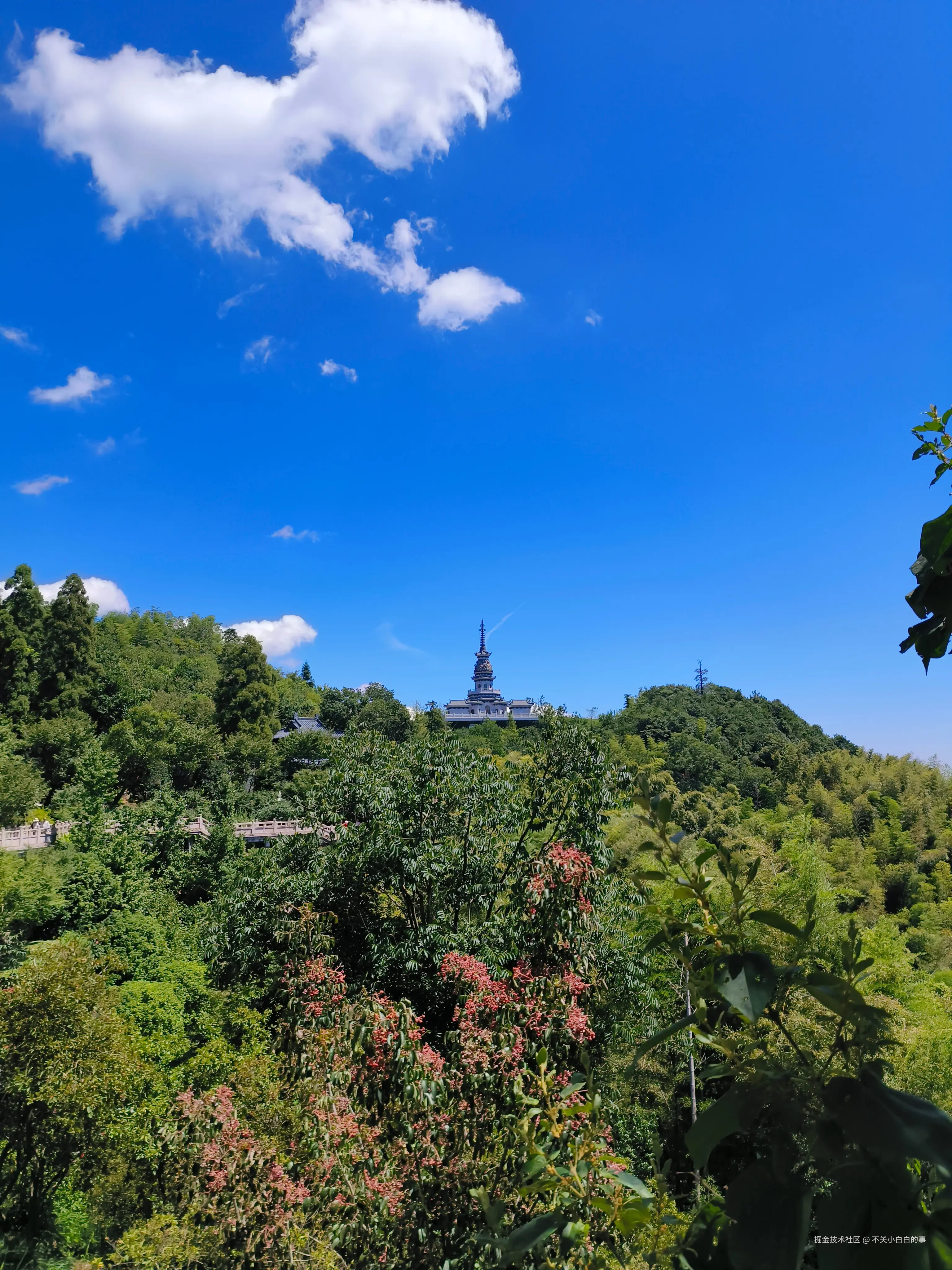 不关小白白的事于2025-08-25 15:39发布的图片