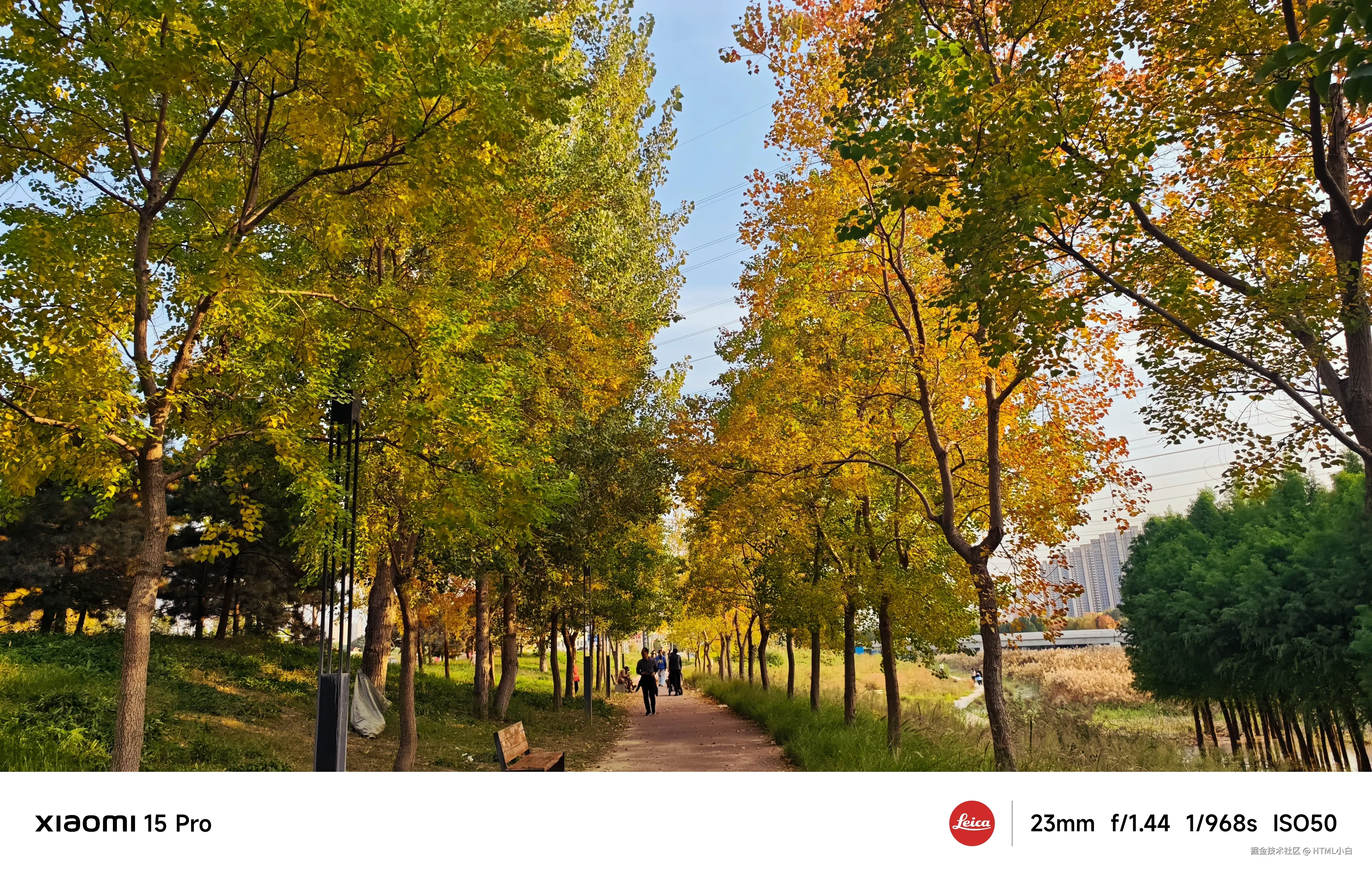 HTML小白于2025-11-03 10:31发布的图片