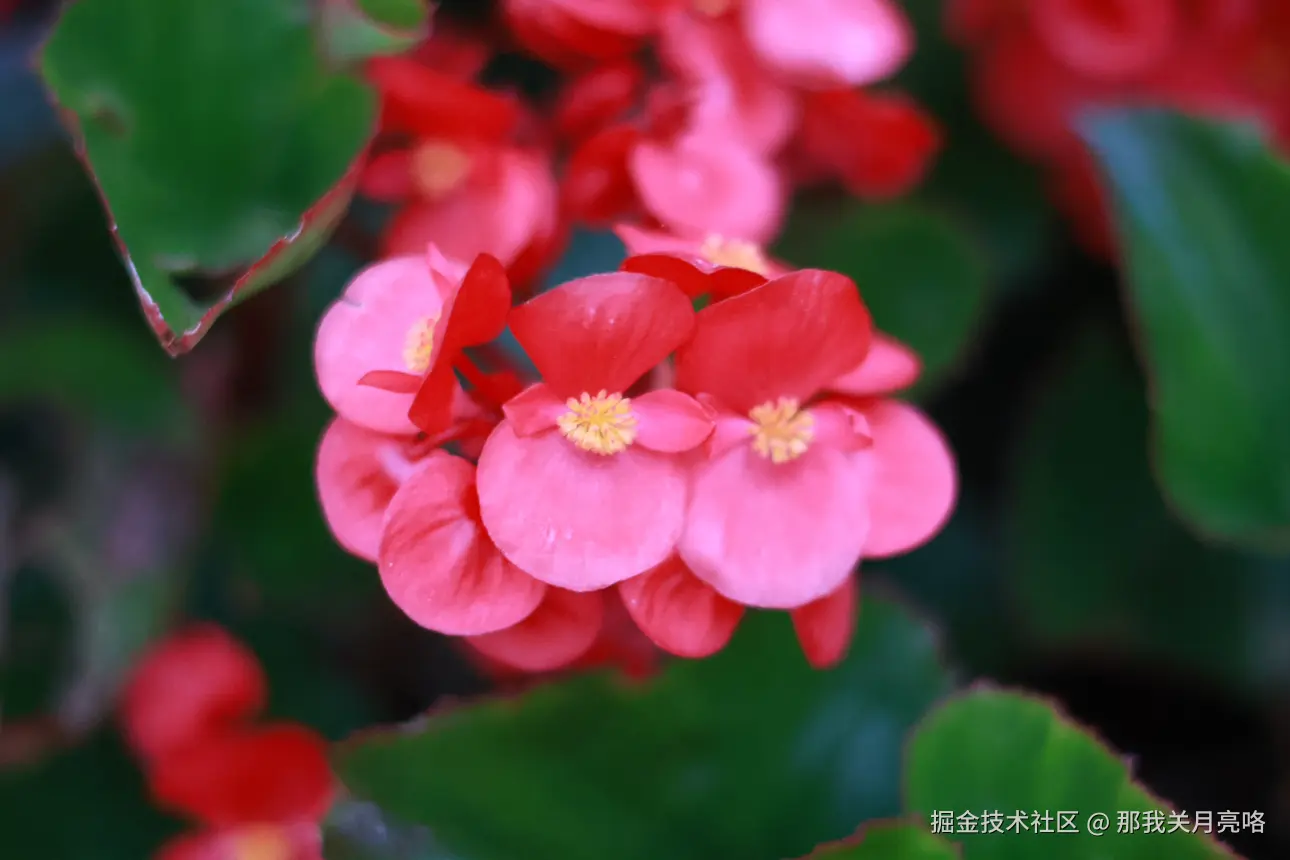 那我关月亮咯于2024-07-23 13:38发布的图片