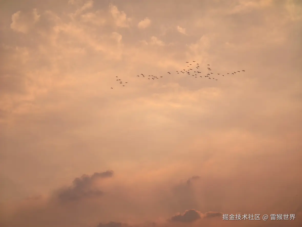 雷猴世界于2025-10-10 11:02发布的图片