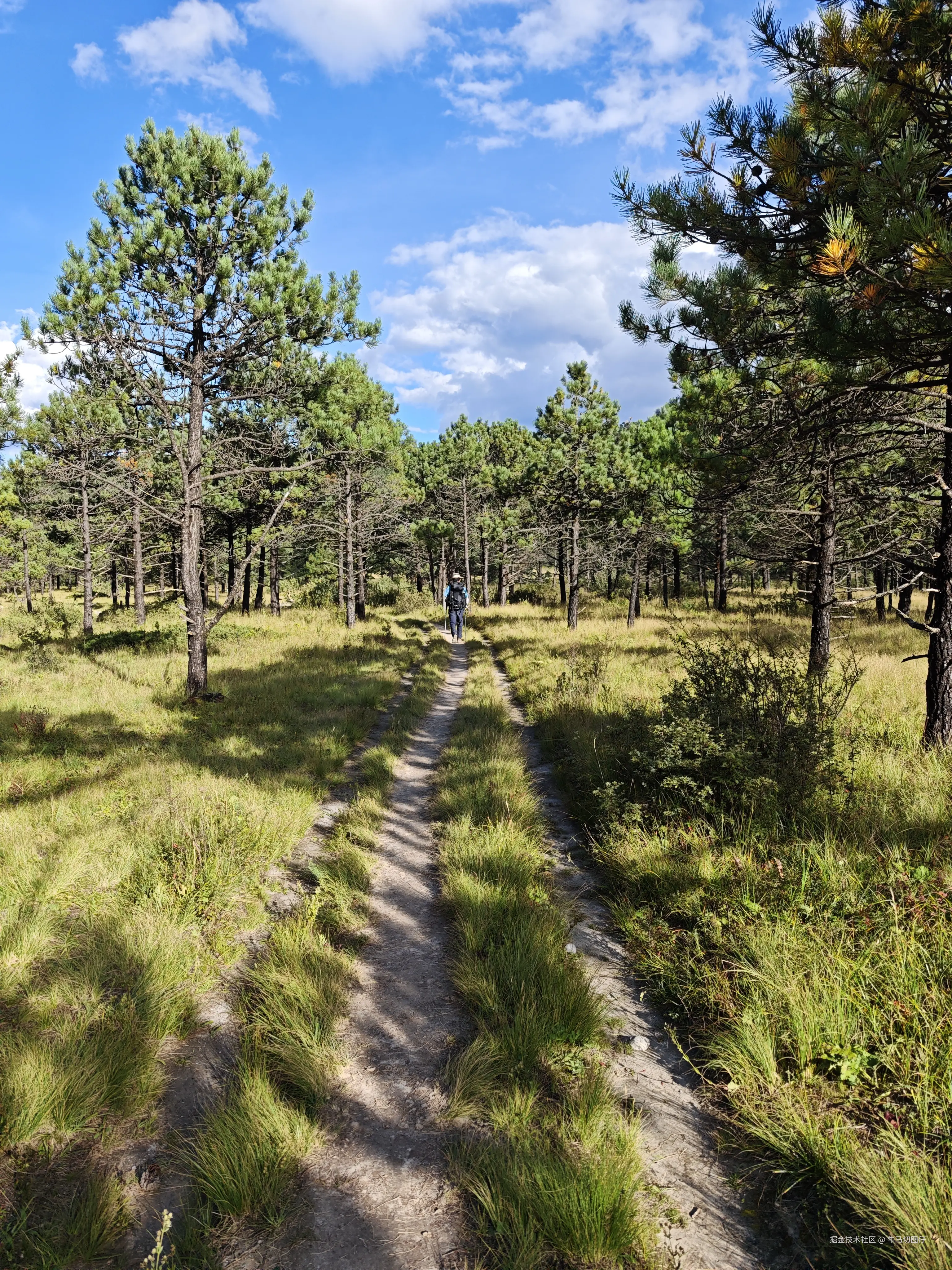 牛马切图仔于2025-10-09 13:51发布的图片