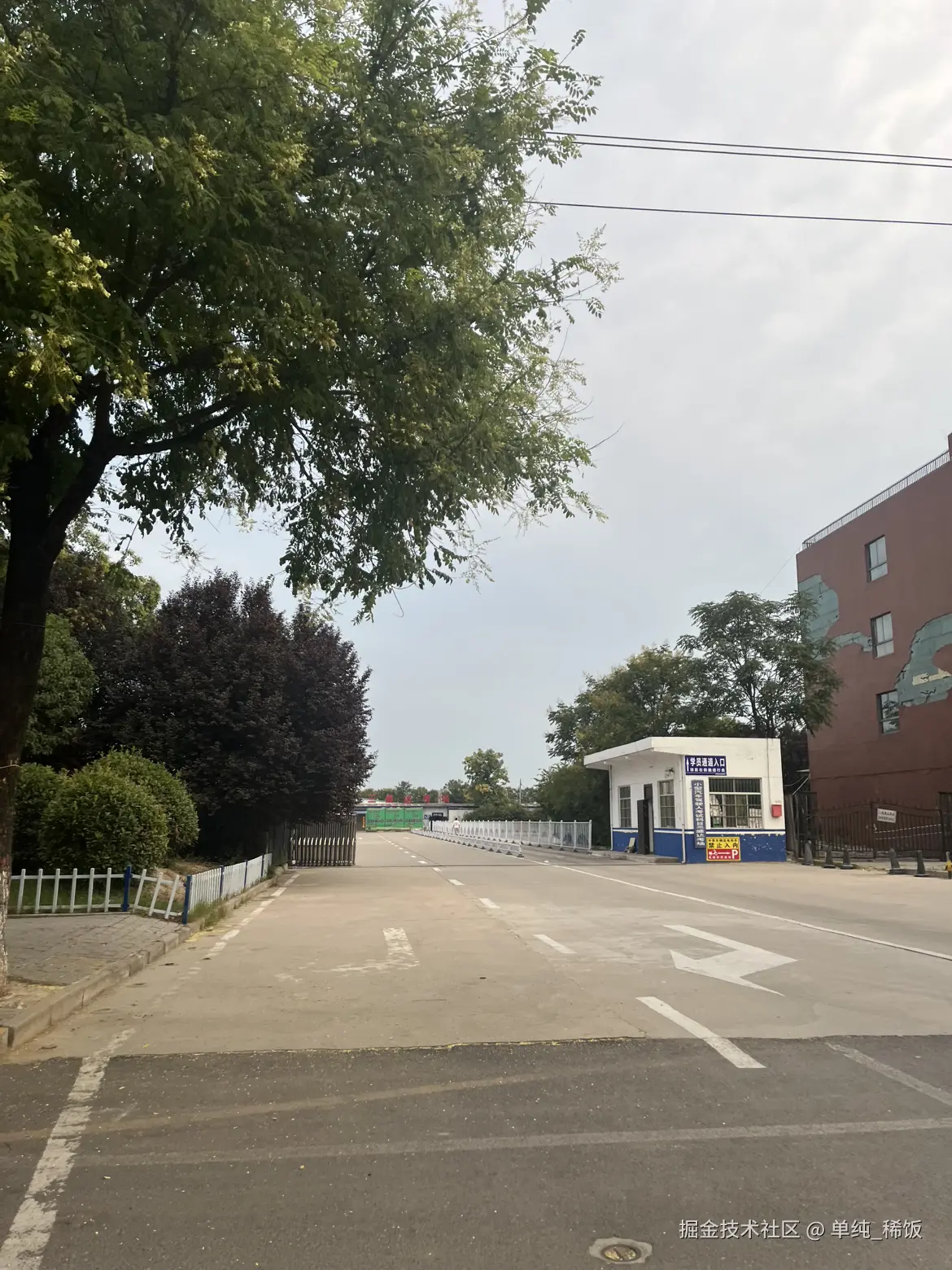 单纯_稀饭于2025-08-04 13:33发布的图片