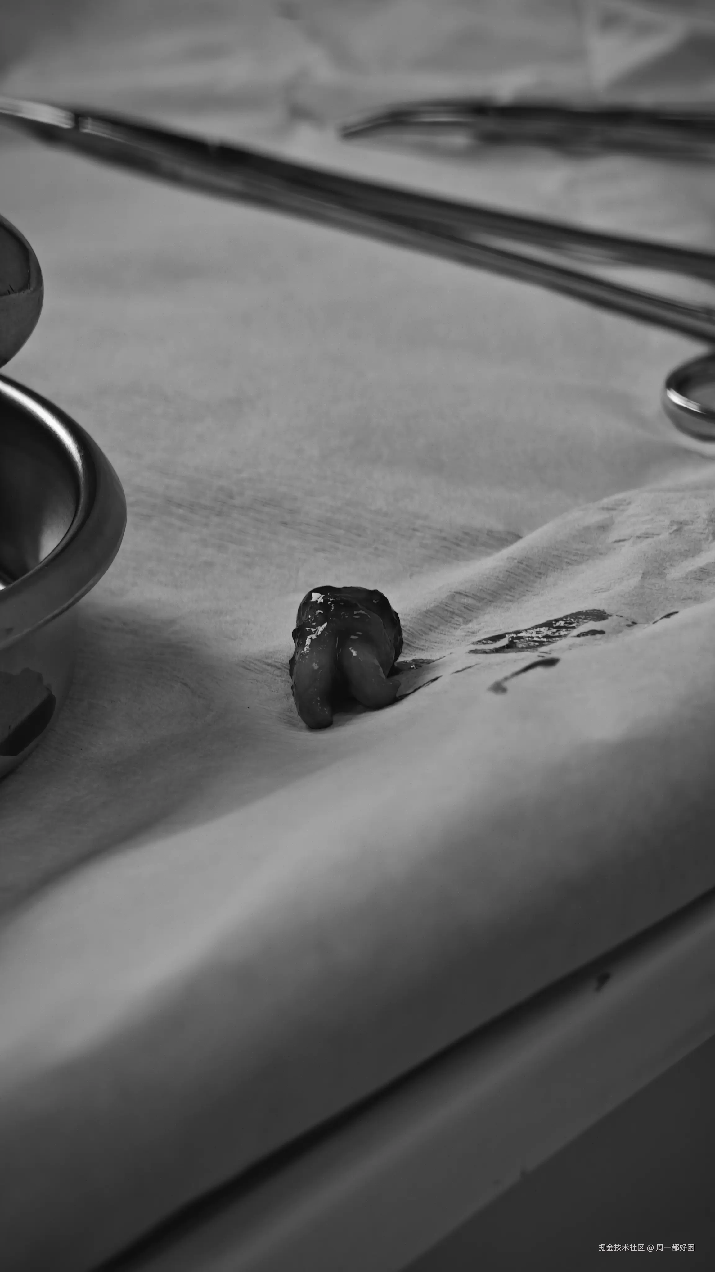 周一都好困于2025-05-25 18:06发布的图片