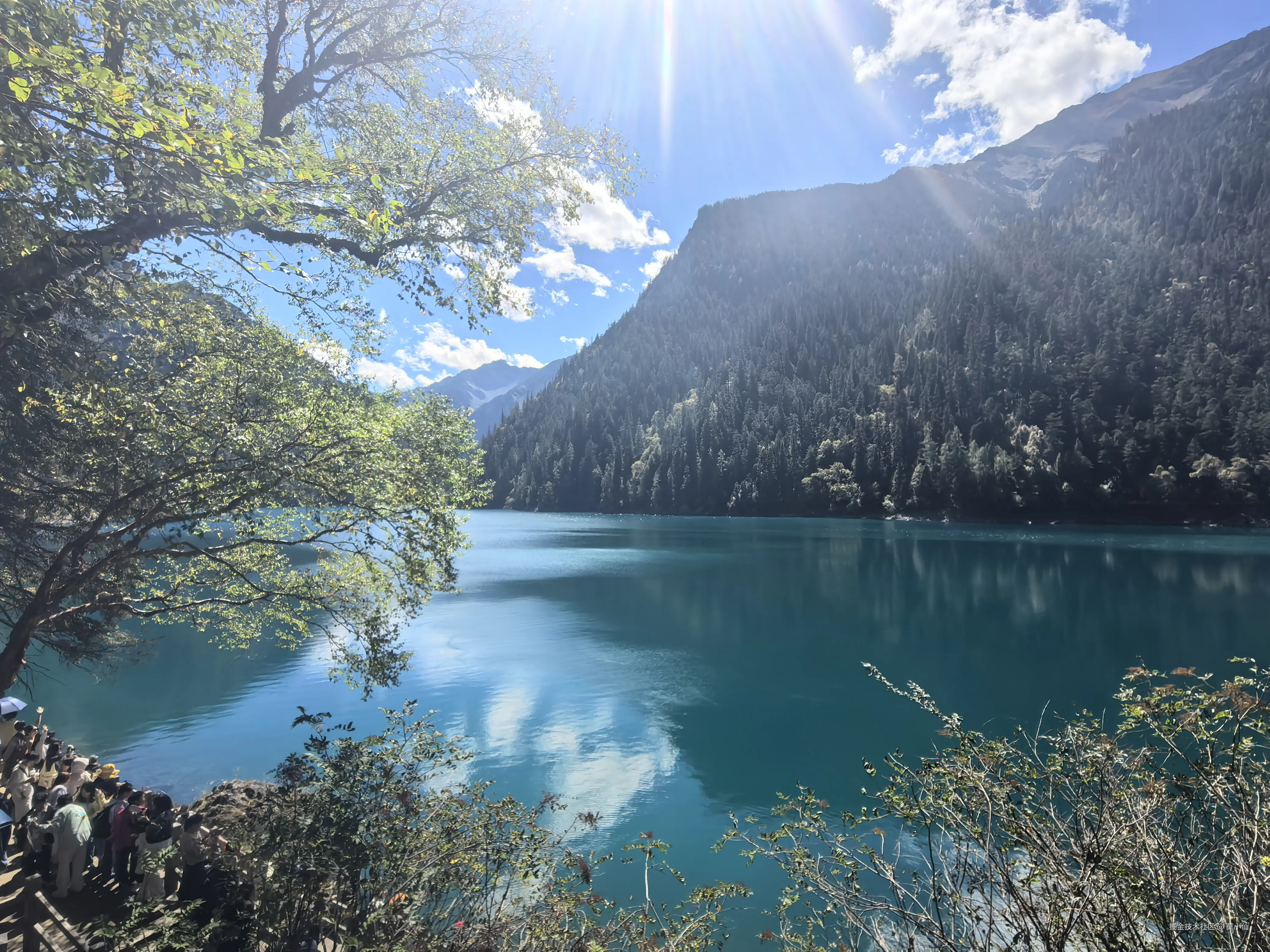 莫小仙于2025-10-09 02:54发布的图片