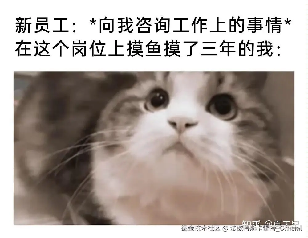 法欧特斯卡雷特_Official于2024-12-05 11:23发布的图片