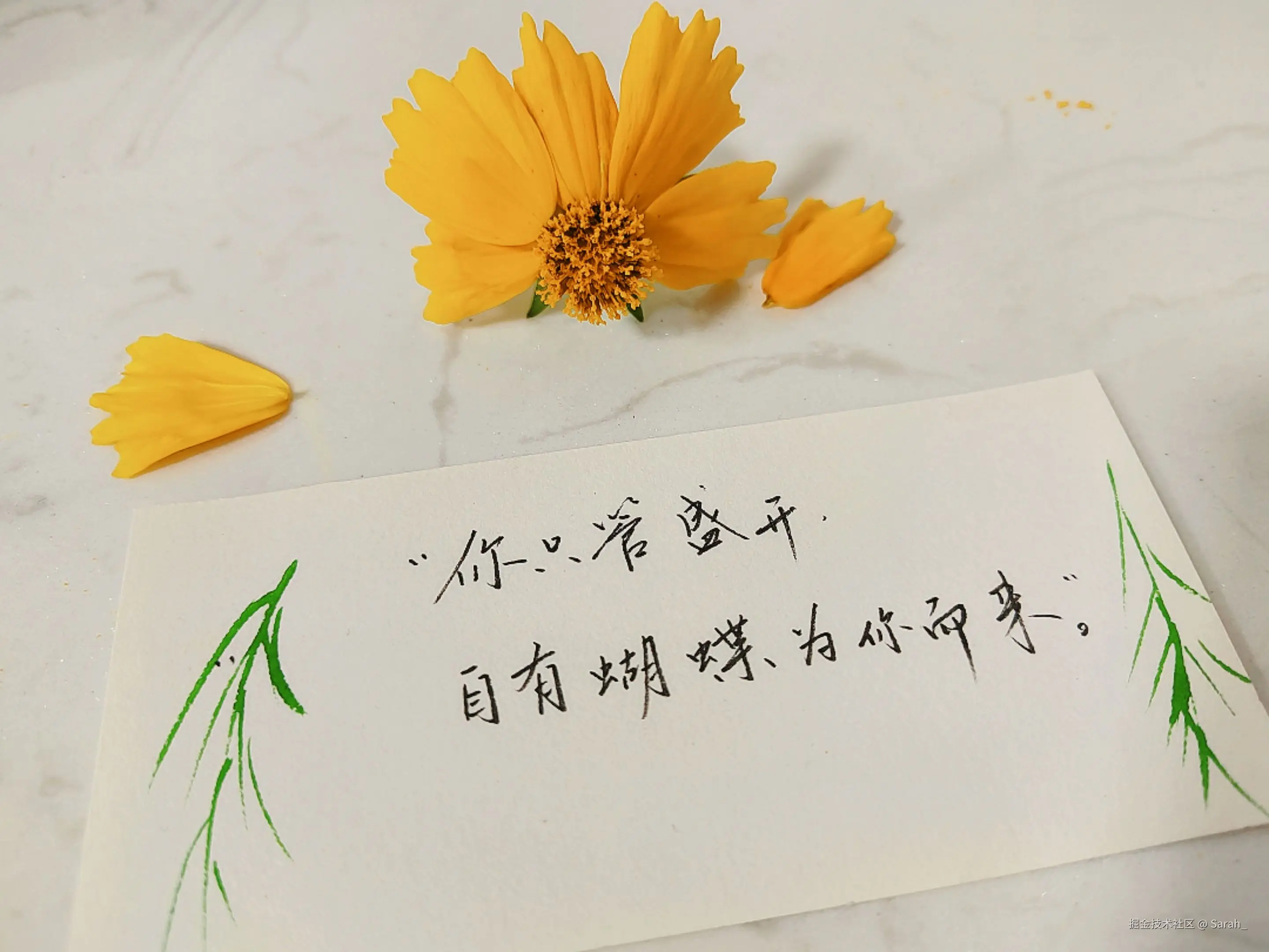 Sarah_于2025-05-28 08:33发布的图片