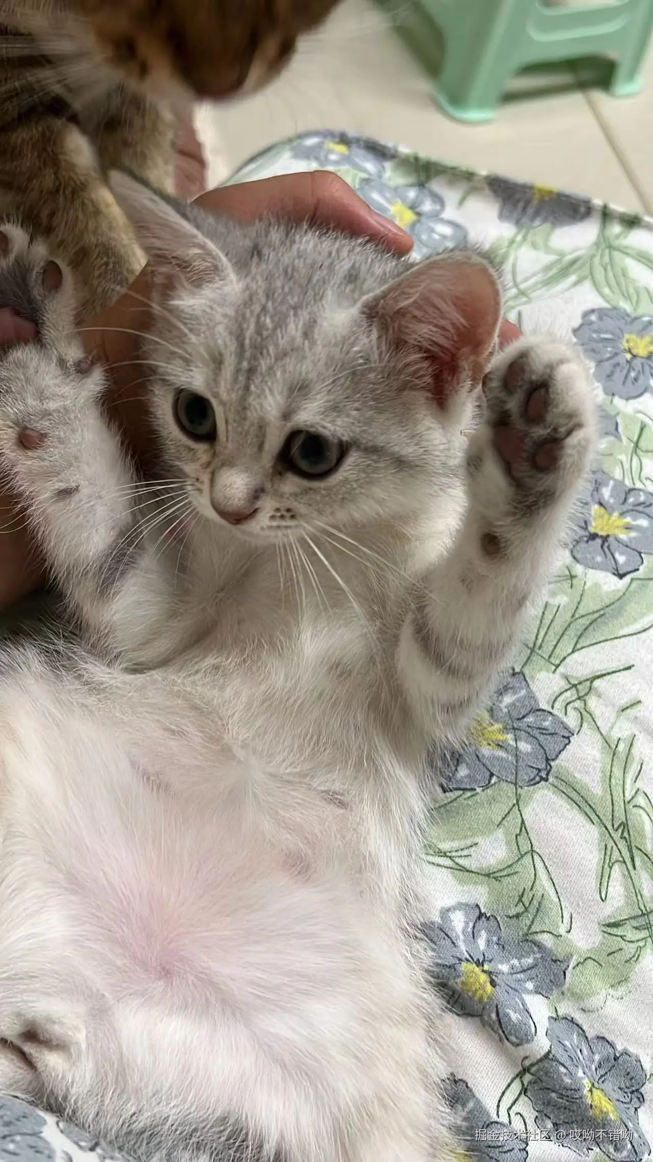 哎呦不错呦于2024-08-08 11:09发布的图片